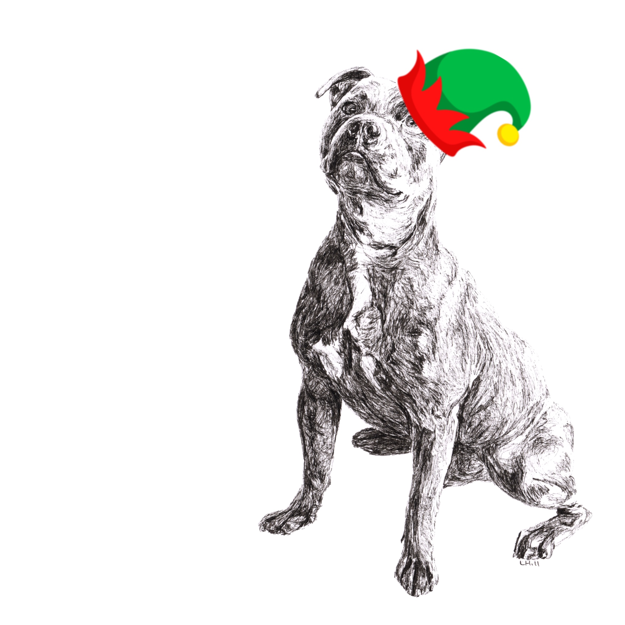 Staffordshire Bull Terrier with Santa hat Christmas card by Louisa Hill