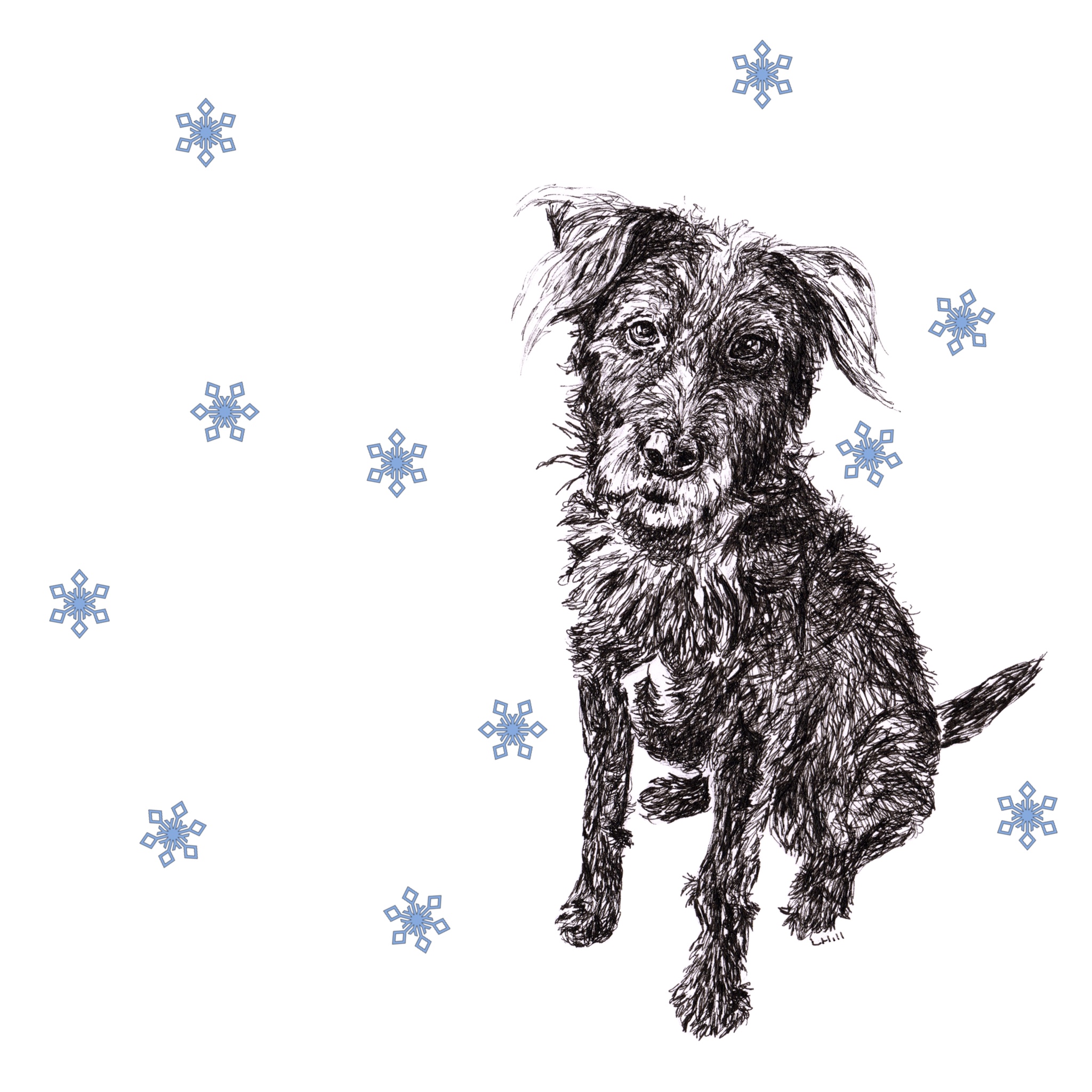 Patterdale Terrier with reindeer antlers and red nose Christmas card by Louisa Hill