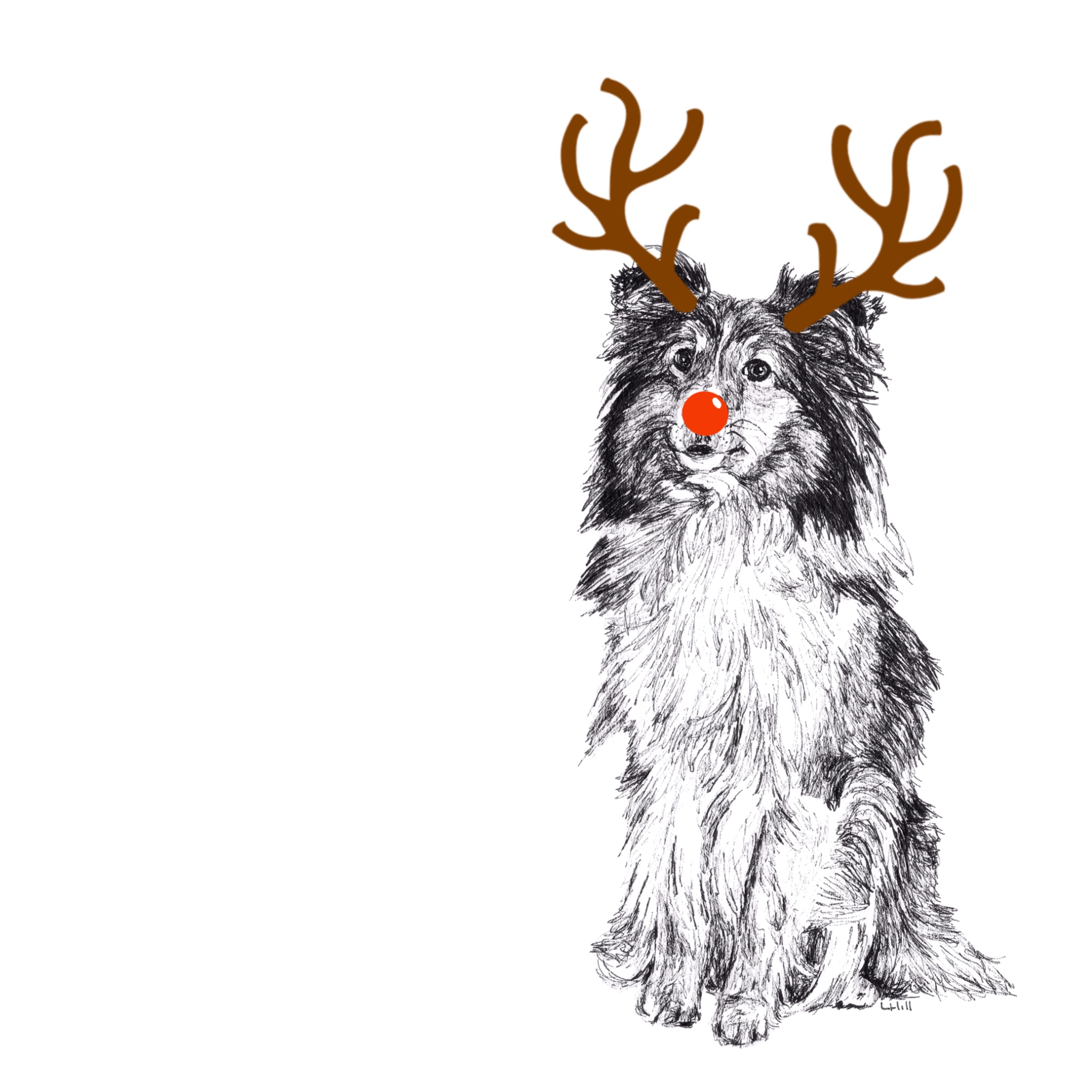 Shetland Sheepdog with reindeer antlers and red nose Christmas card by Louisa Hill