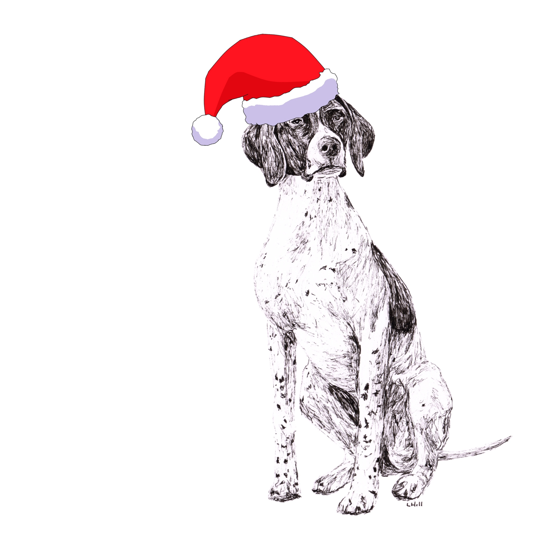 English Pointer with reindeer antlers and red nose Christmas card by Louisa Hill