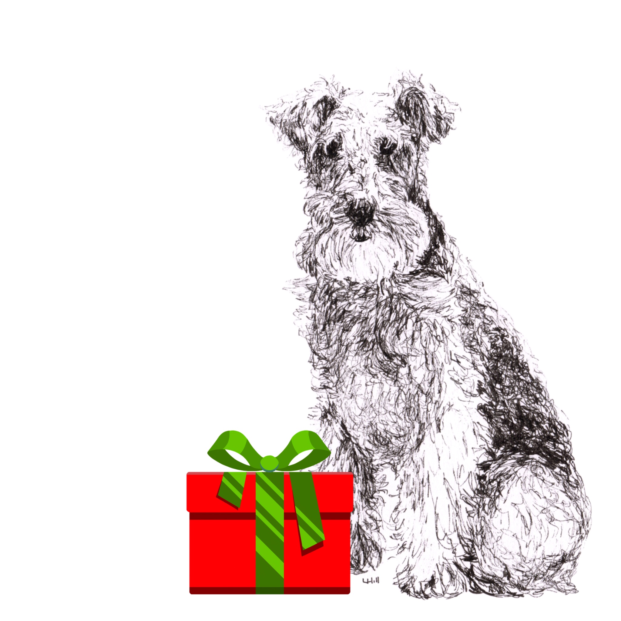 Lakeland Terrier with reindeer antlers and red nose Christmas card by Louisa Hill