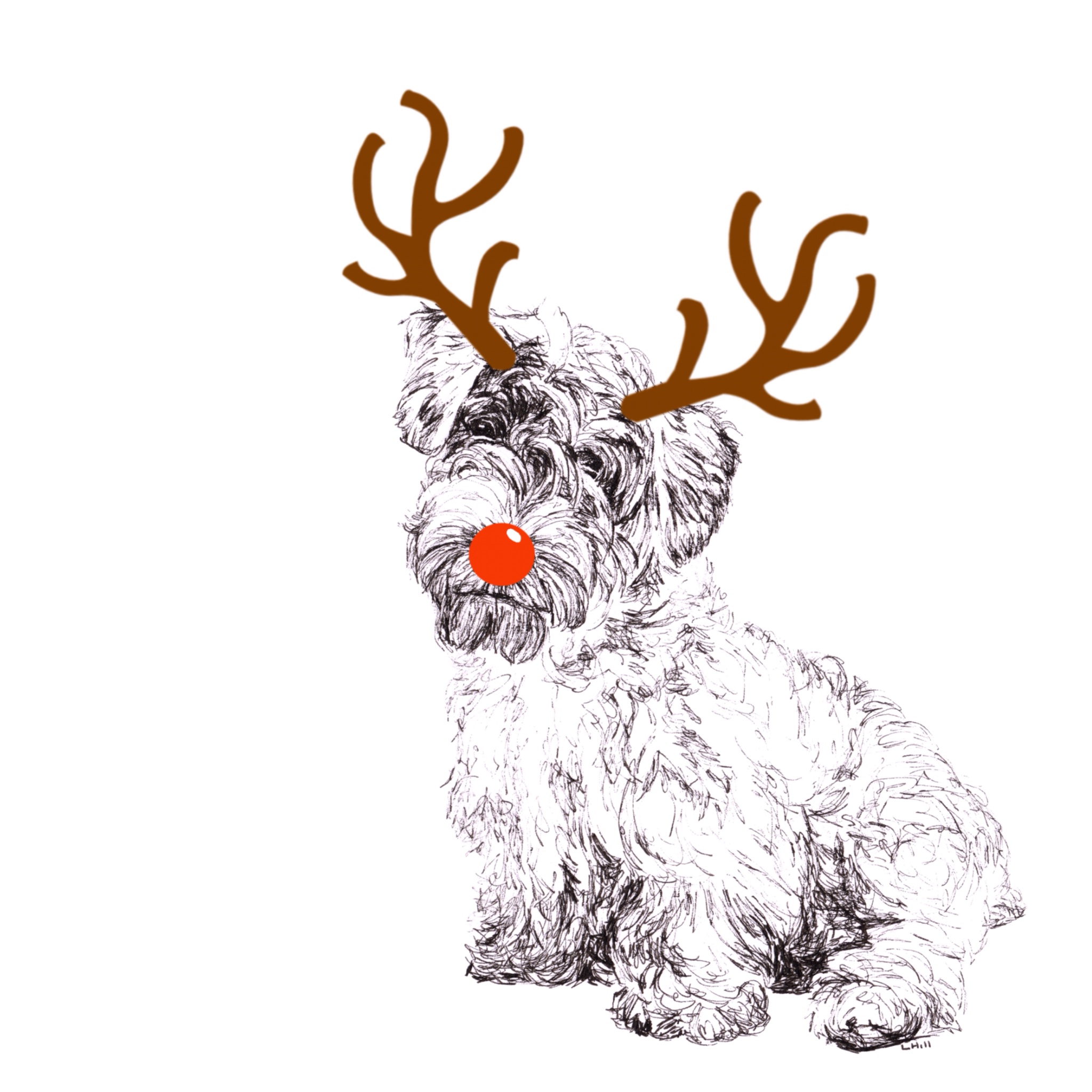 Sealyham Terrier with reindeer antlers and red nose Christmas card by Louisa Hill