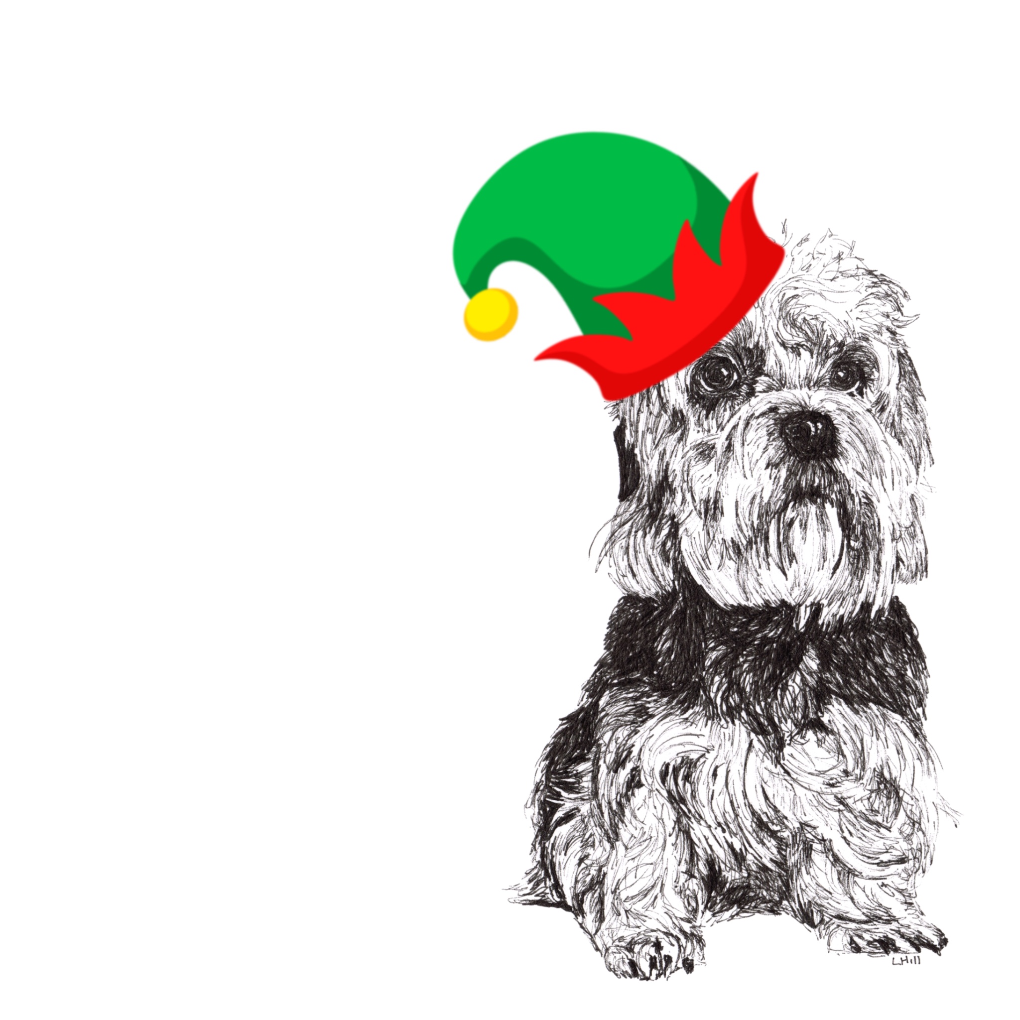 Dandie Dinmont Terrier with santa hat Christmas card by Louisa Hill