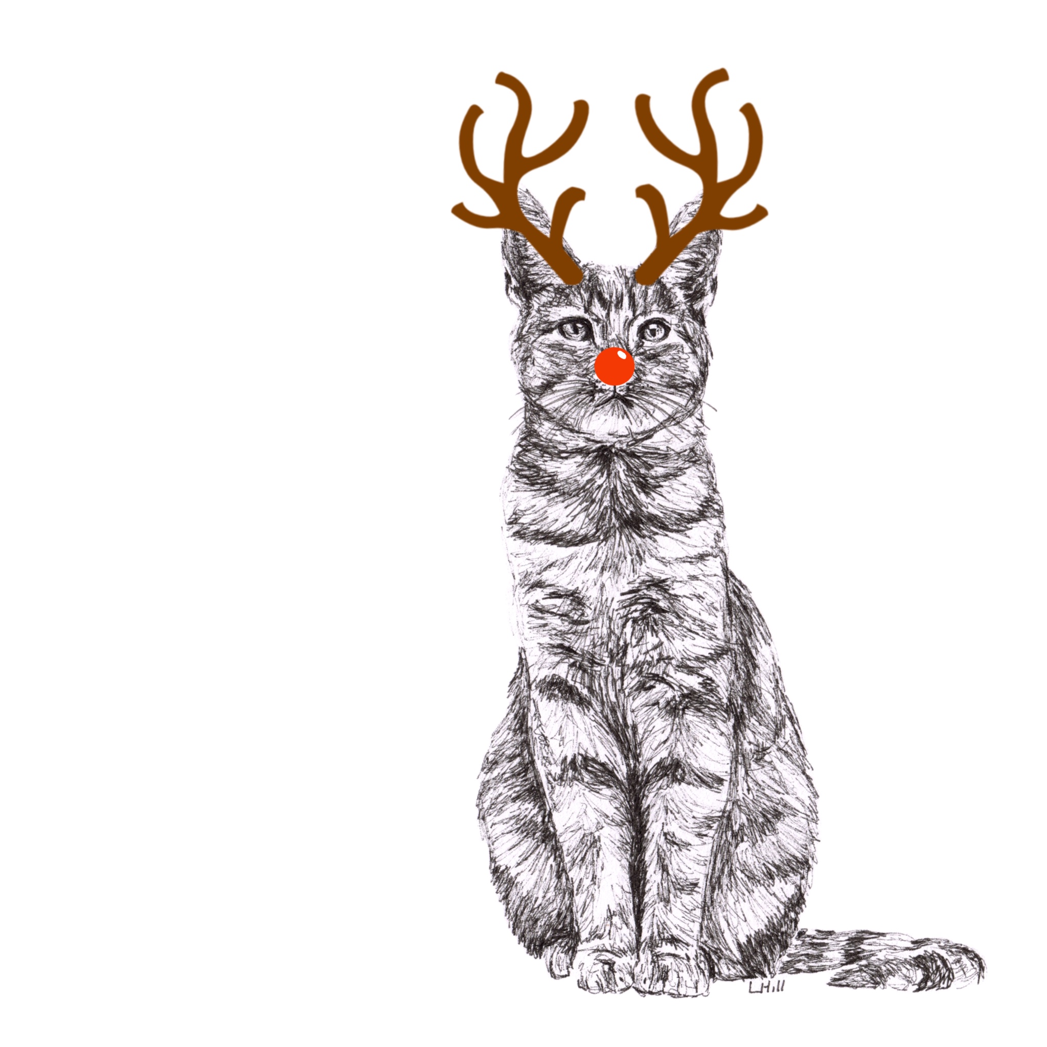 Tabby reindeer antlers and red nose Christmas card by Louisa Hill