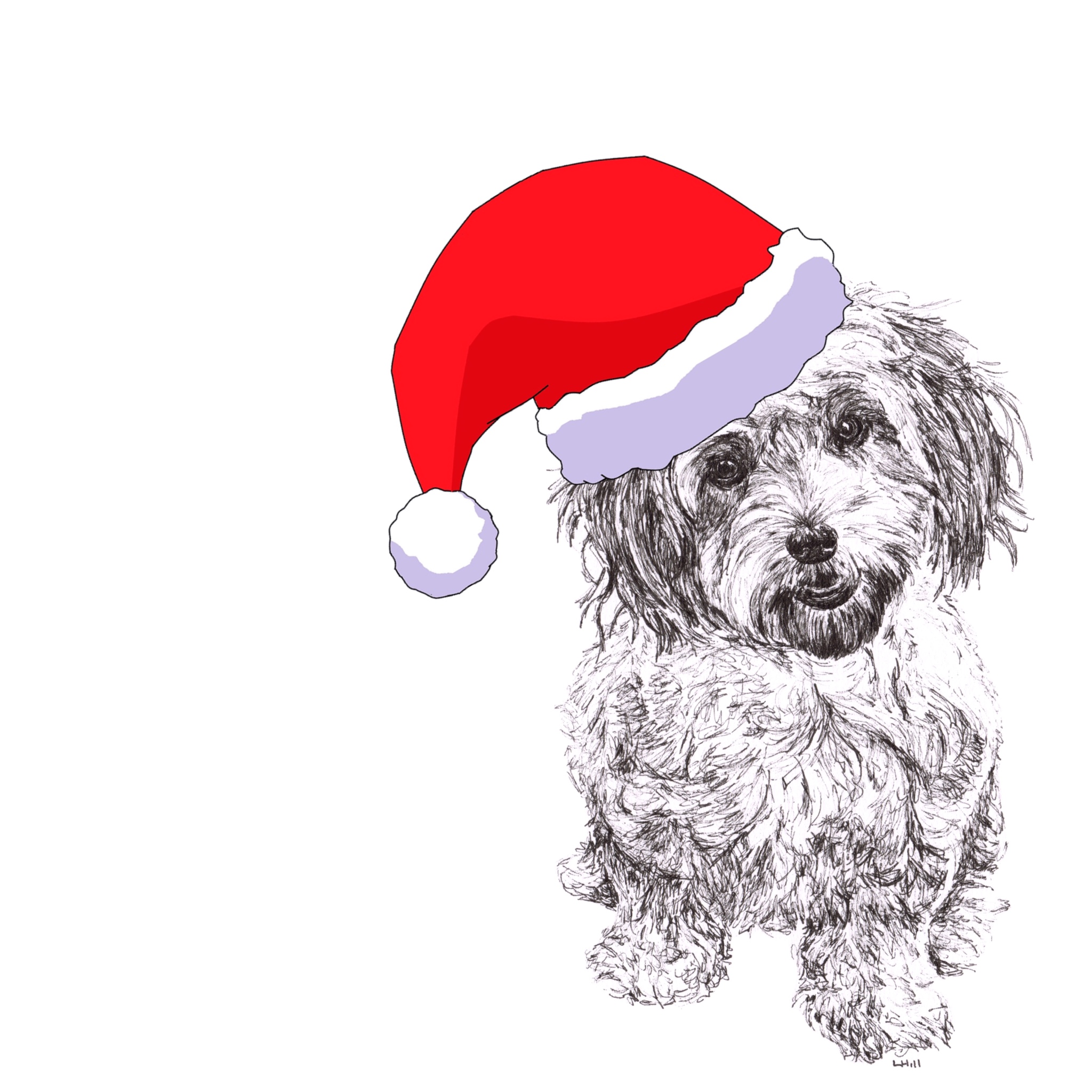 Cavachon with Santa hat Christmas card by Louisa Hill