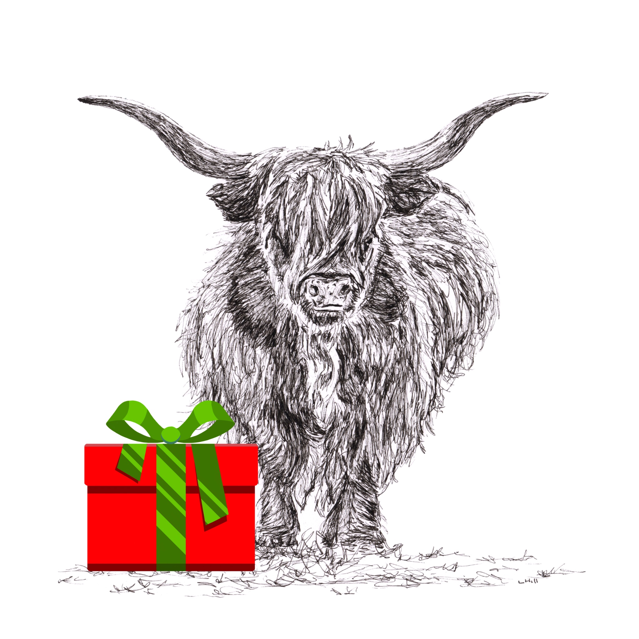 Highland Cattle with santa hat Christmas card by Louisa Hill