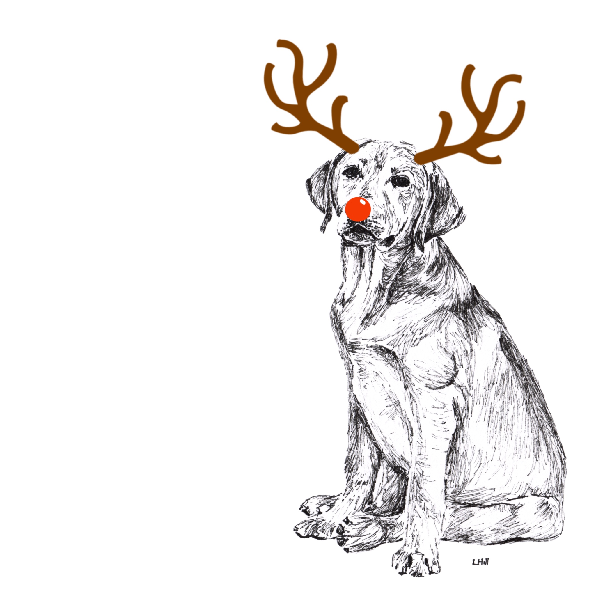 Labrador with reindeer antlers and red nose Christmas card by Louisa Hill