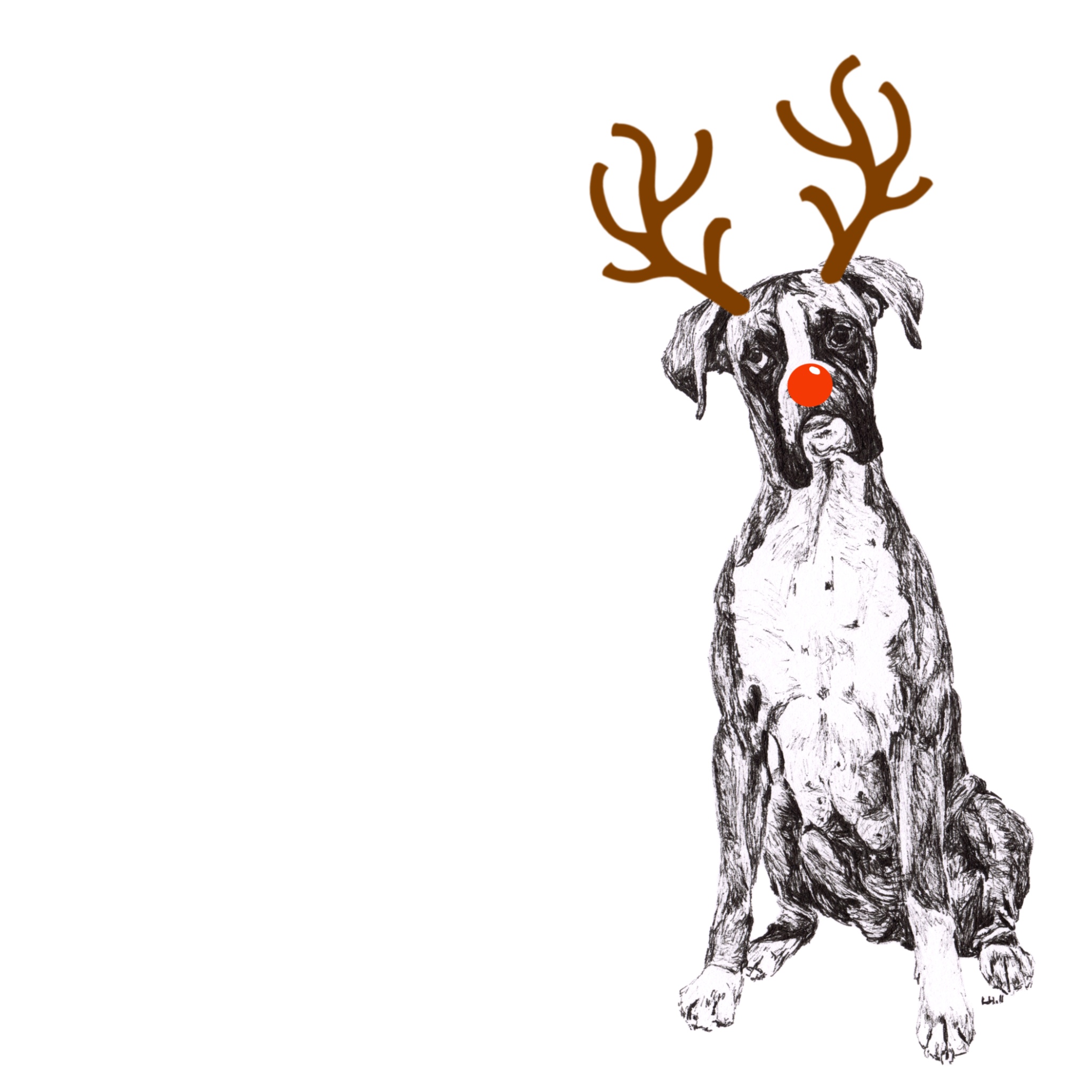 Boxer with reindeer antlers and red nose Christmas card by Louisa Hill