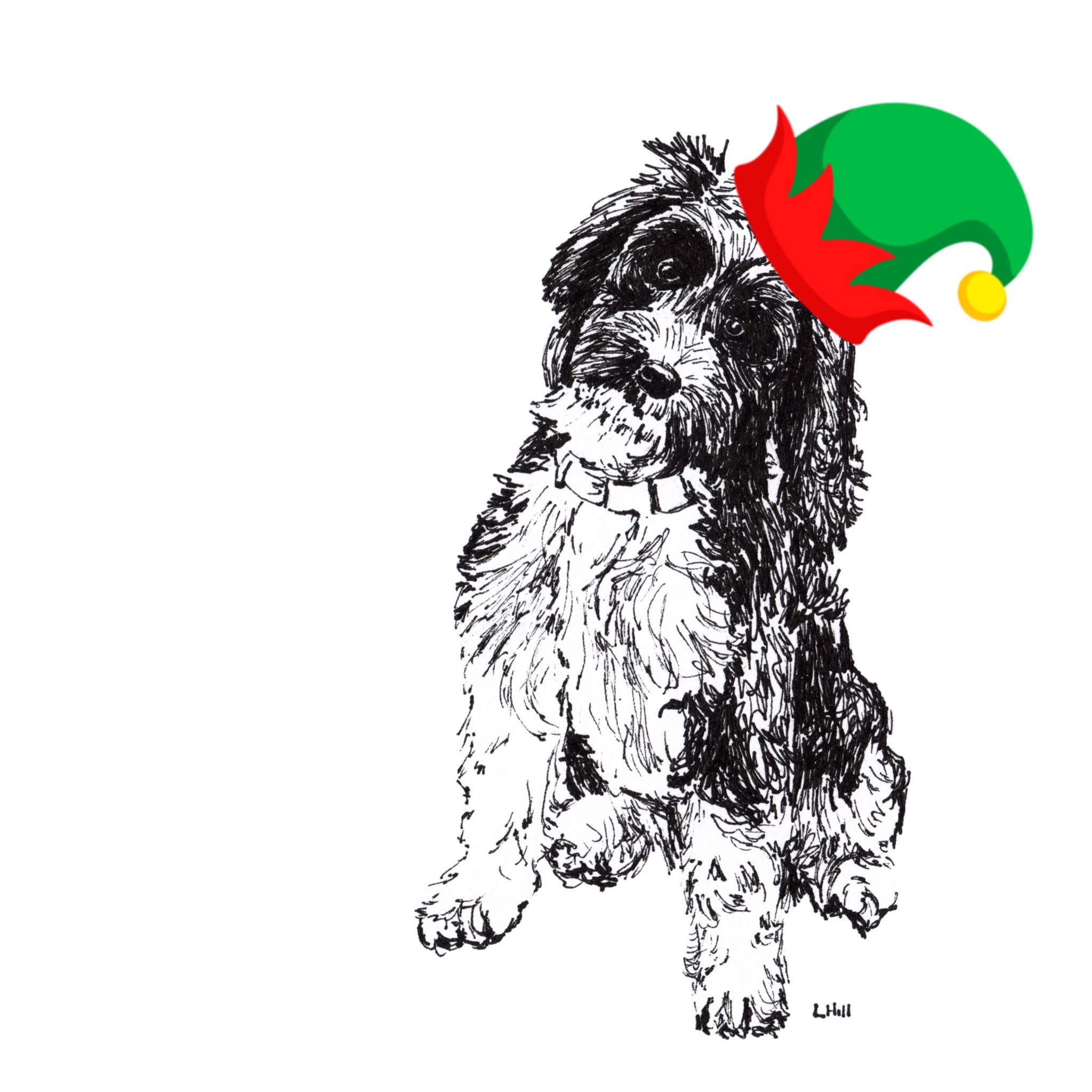 Cockapoo with Santa hat Christmas card by Louisa Hill