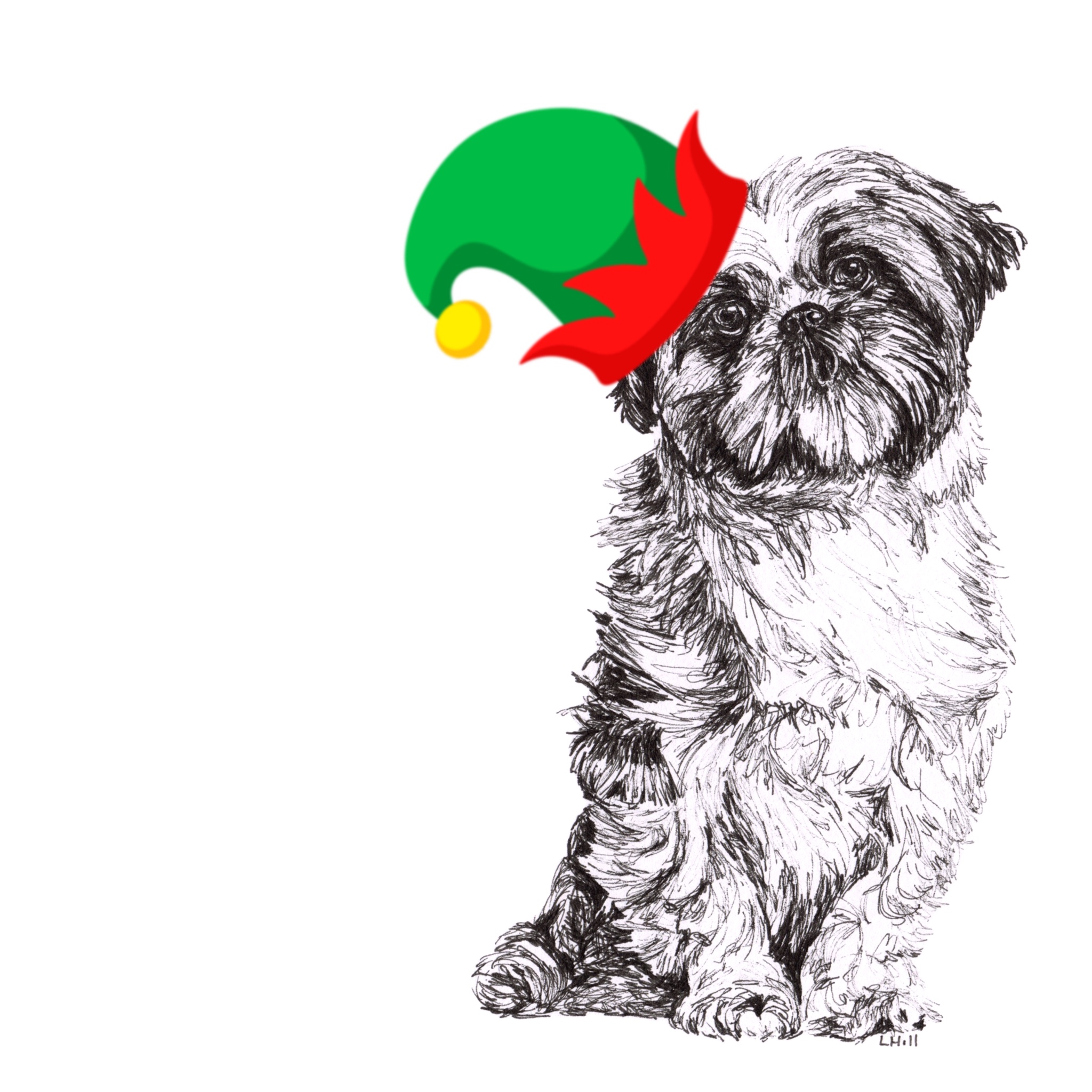 Shih Tzu with Santa hat Christmas card by Louisa Hill