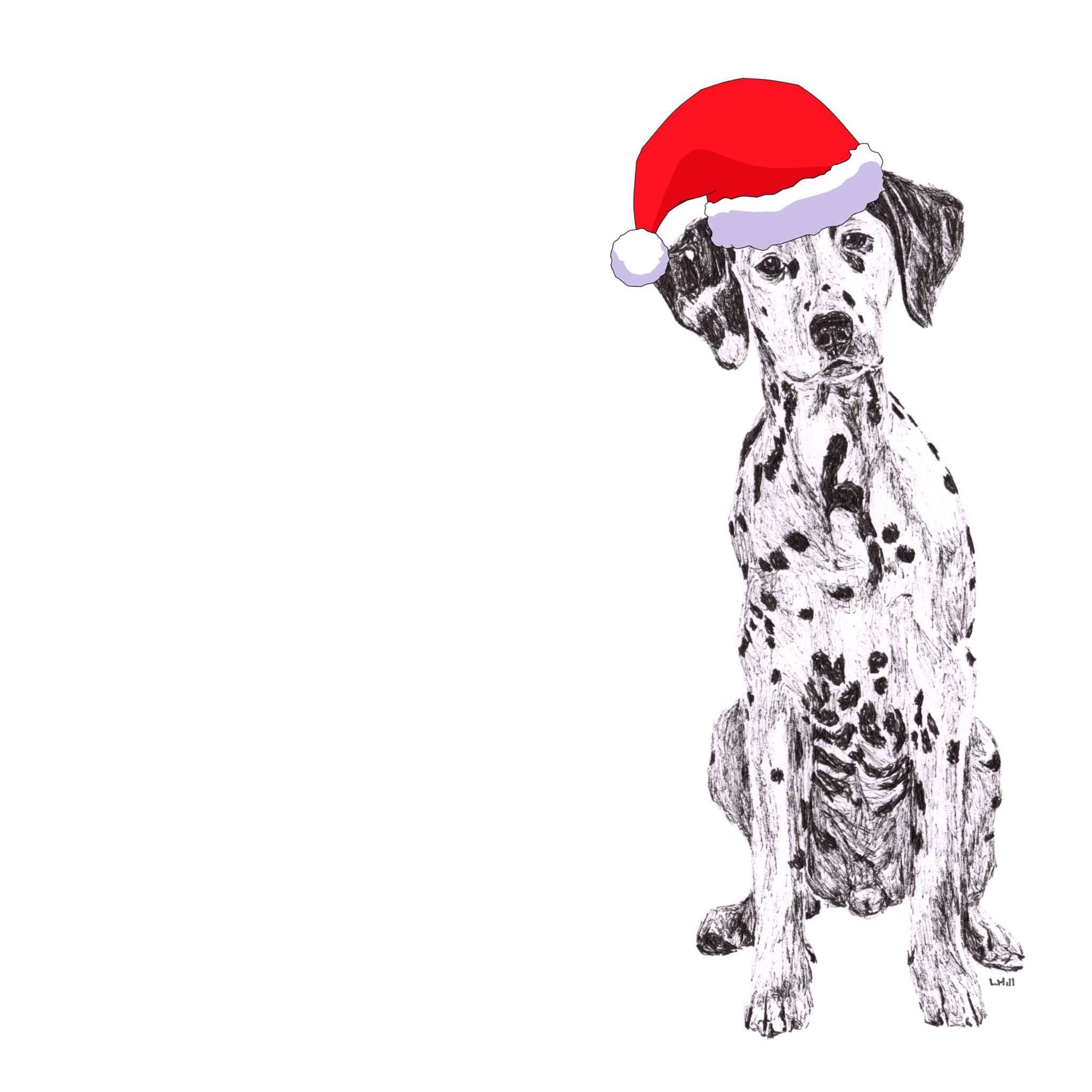 Dalmatian with Santa hat Christmas card by Louisa Hill