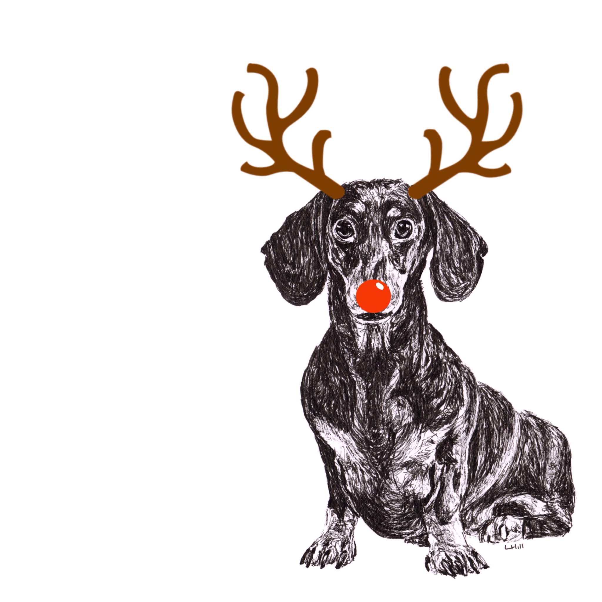 Dachshund in reindeer antler and red nose Christmas cards by Louisa Hill