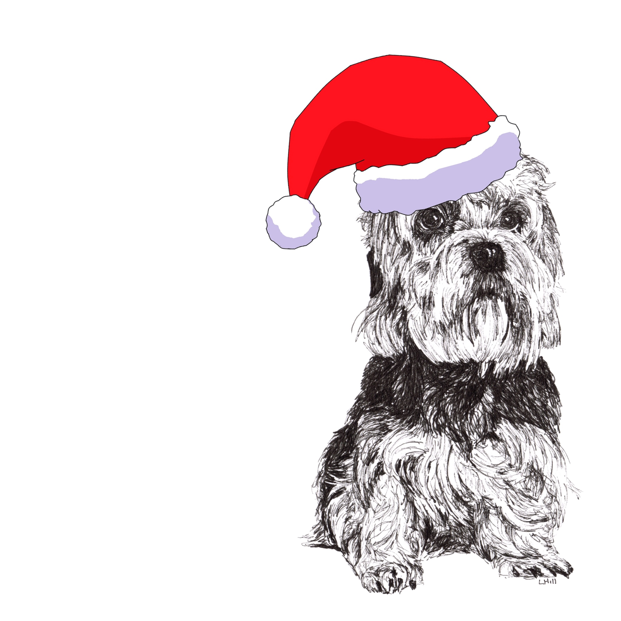 Dandie Dinmont Terrier with santa hat Christmas card by Louisa Hill