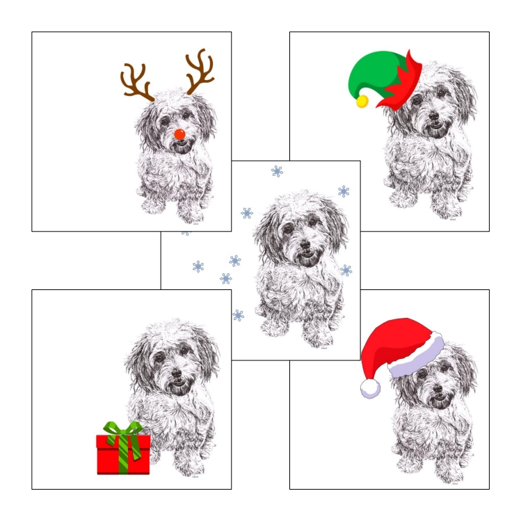 Cavachon with Santa hat Christmas card by Louisa Hill