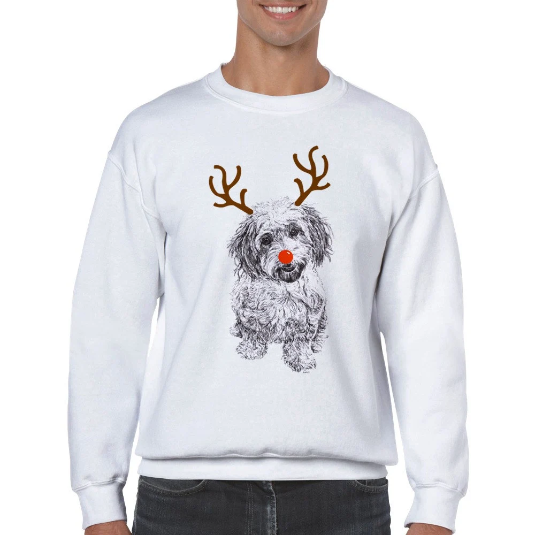 Cavachon with reindeer antlers and red nose Christmas jumper by Louisa Hill