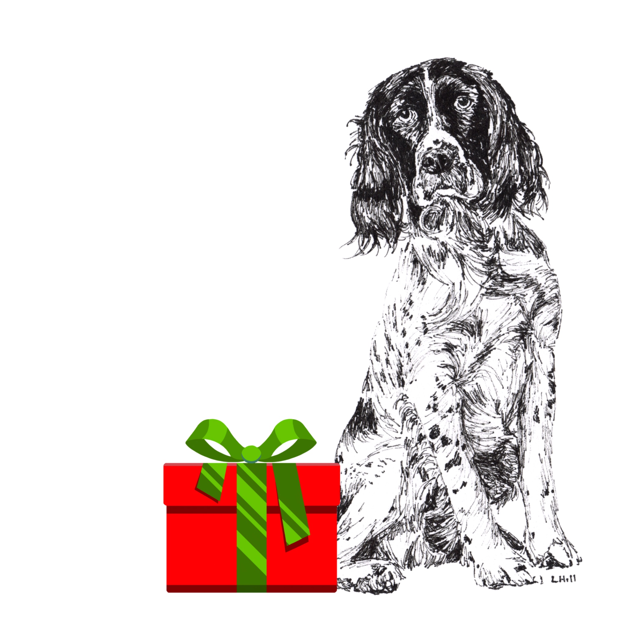 Springer Spaniel with Santa hat Christmas card by Louisa Hill