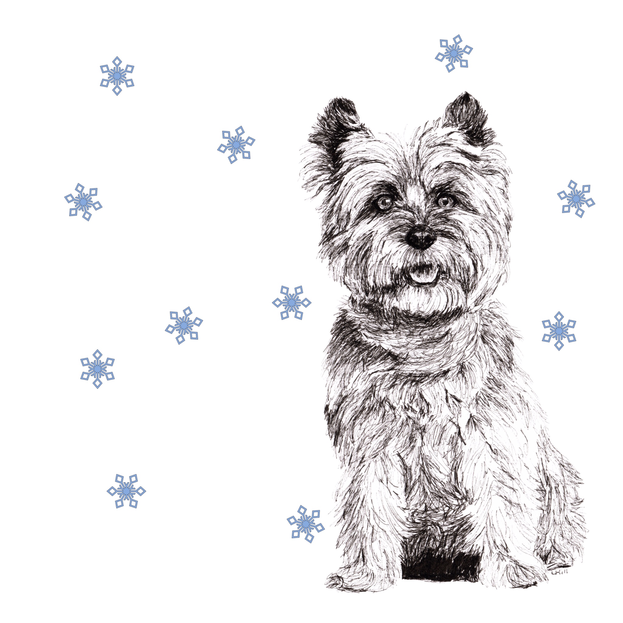 Cairn Terrier with reindeer antlers and red nose Christmas card by Louisa Hill