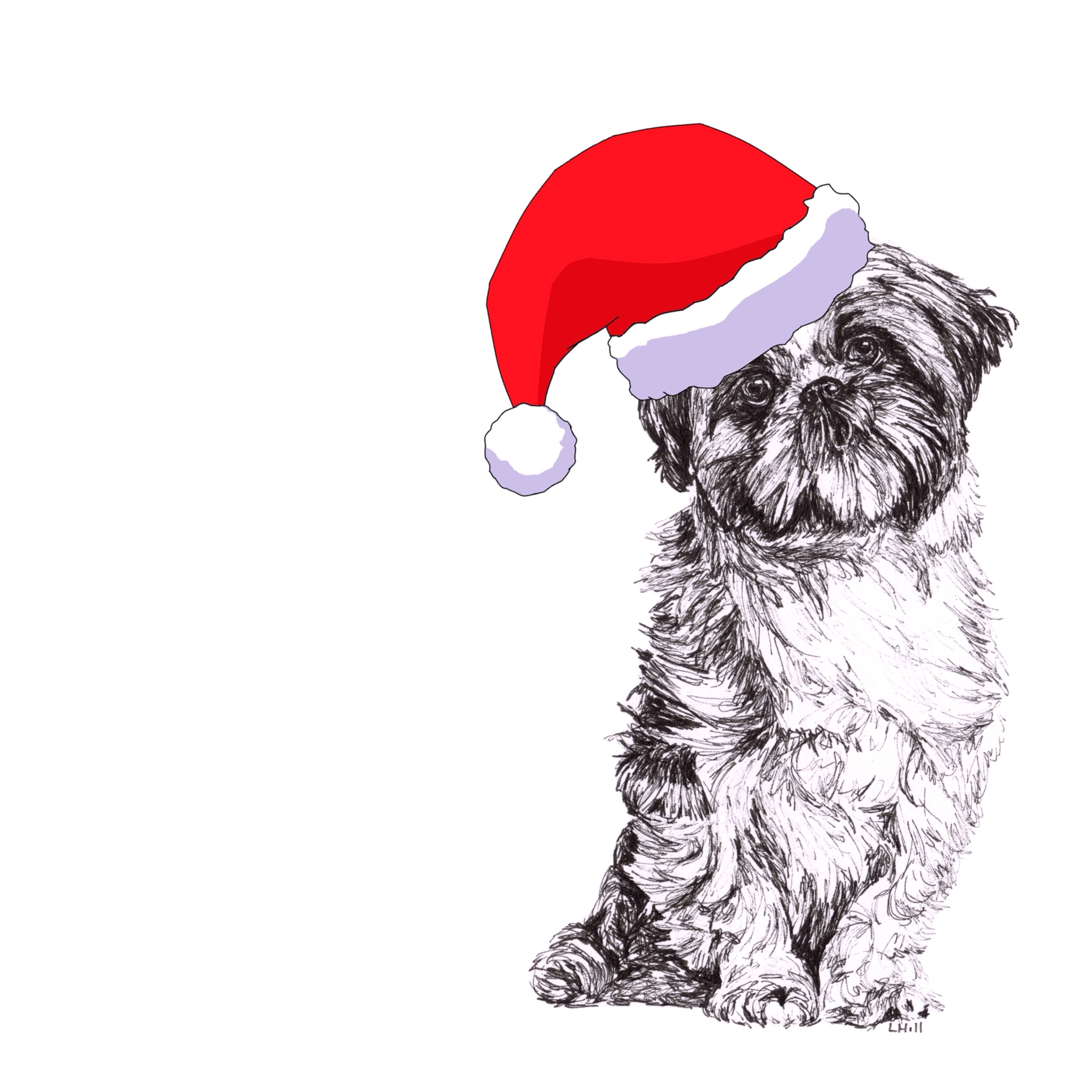 Shih Tzu with Santa hat Christmas card by Louisa Hill