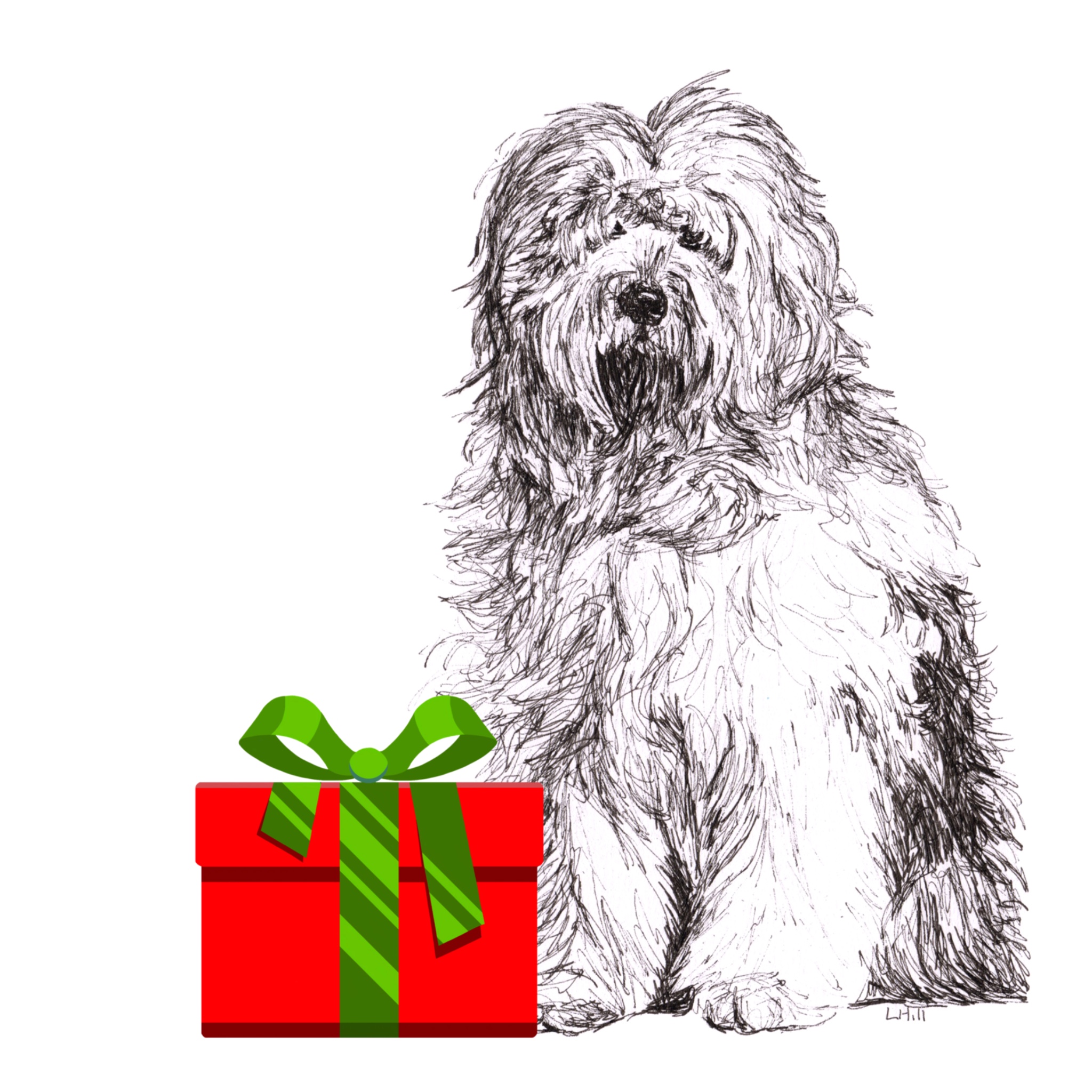 Old English Sheepdog with reindeer antlers and red nose Christmas card by Louisa Hill