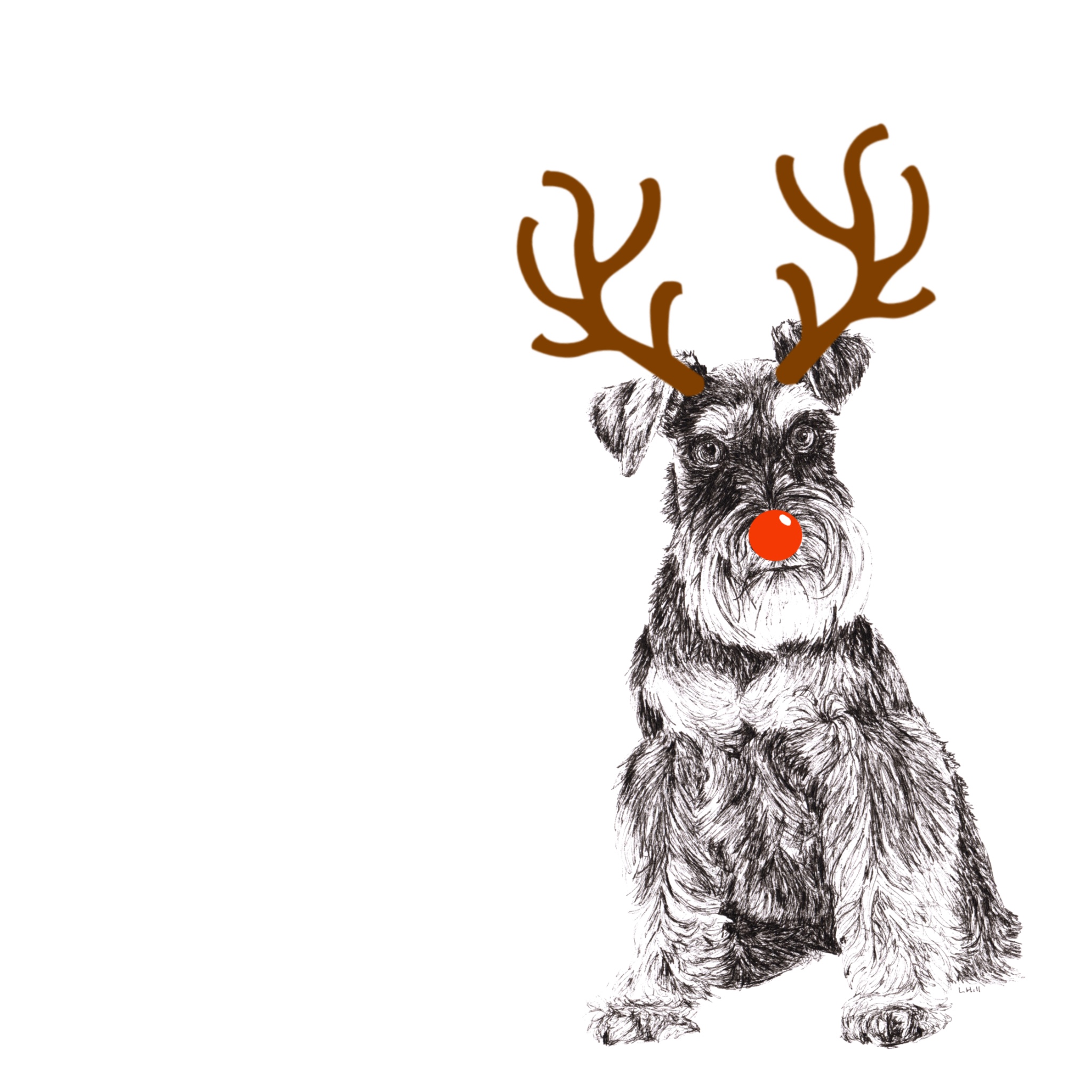 Schnauzer with reindeer antlers and red noseChristmas card by Louisa Hill