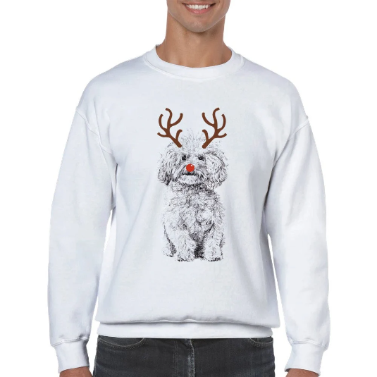 Bichon Frise with reindeer antlers and red nose Christmas jumper by Louisa Hill