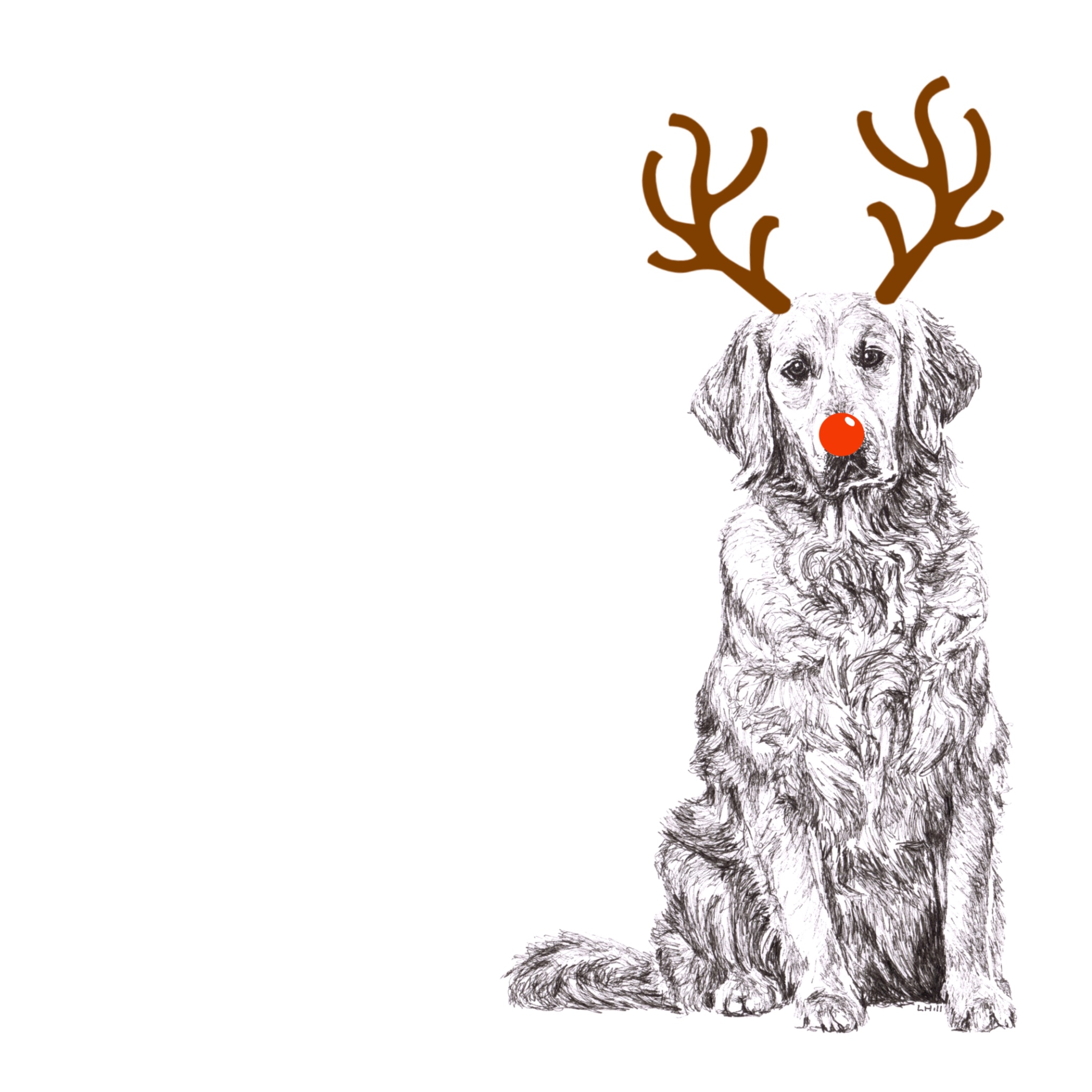 Golden Retriever with reindeer antlers and red nose Christmas card by Louisa Hill