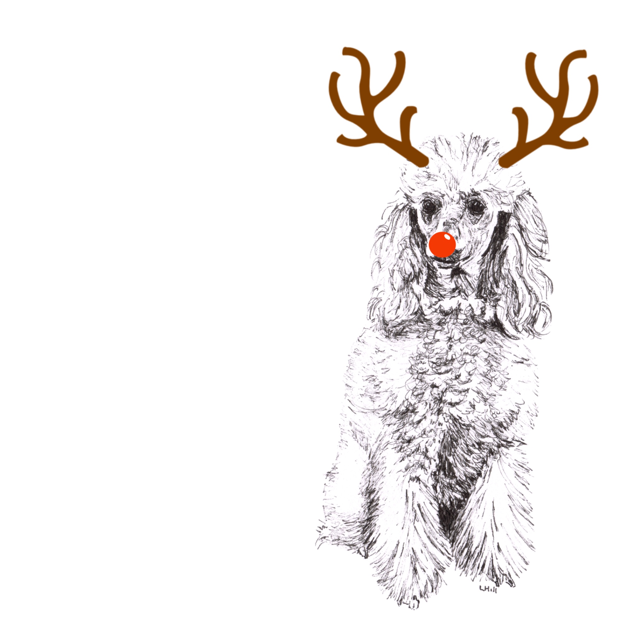 Poodle with reindeer antlers and red nose Christmas cards by Louisa Hill