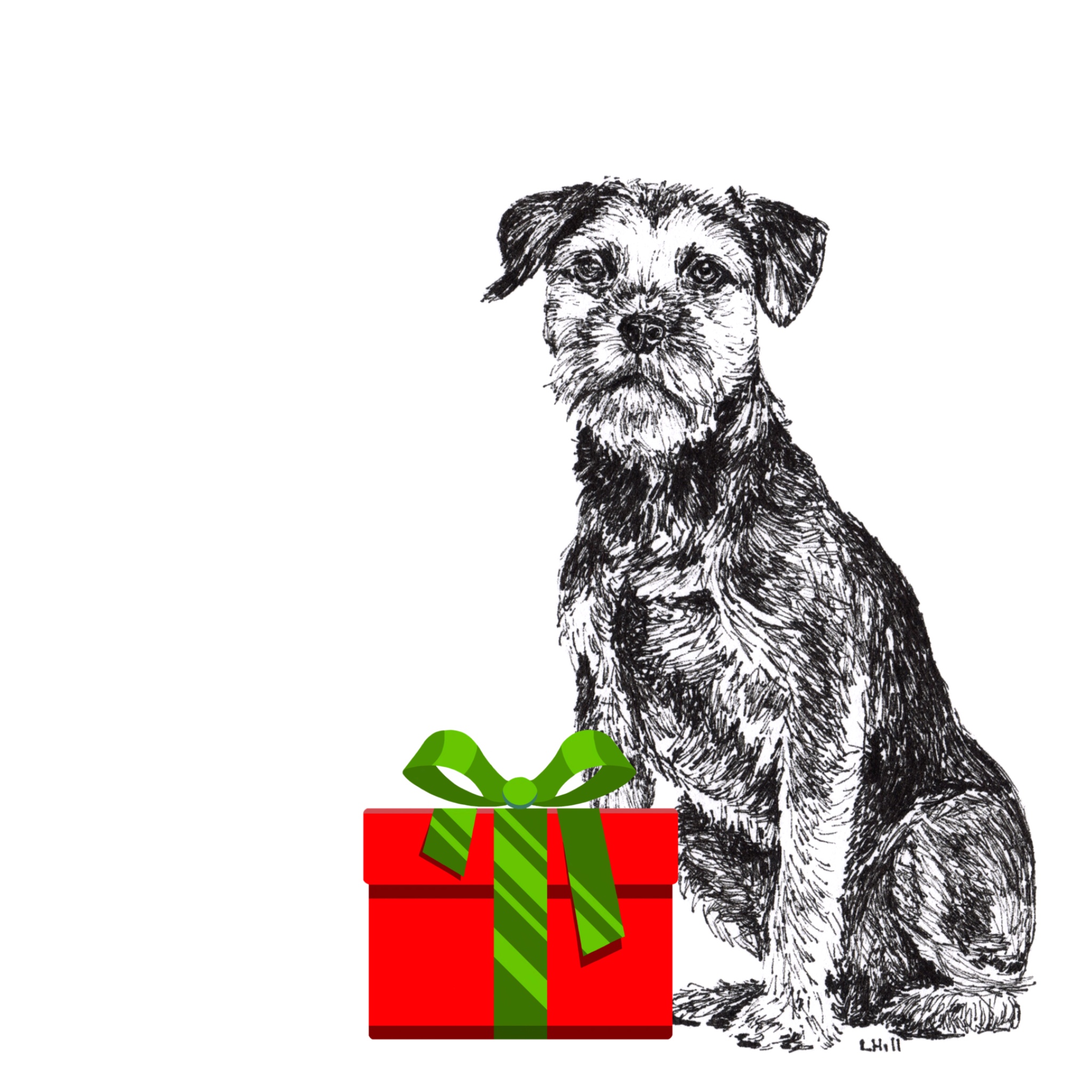 Border Terrier with Santa hat Christmas card by Louisa Hill