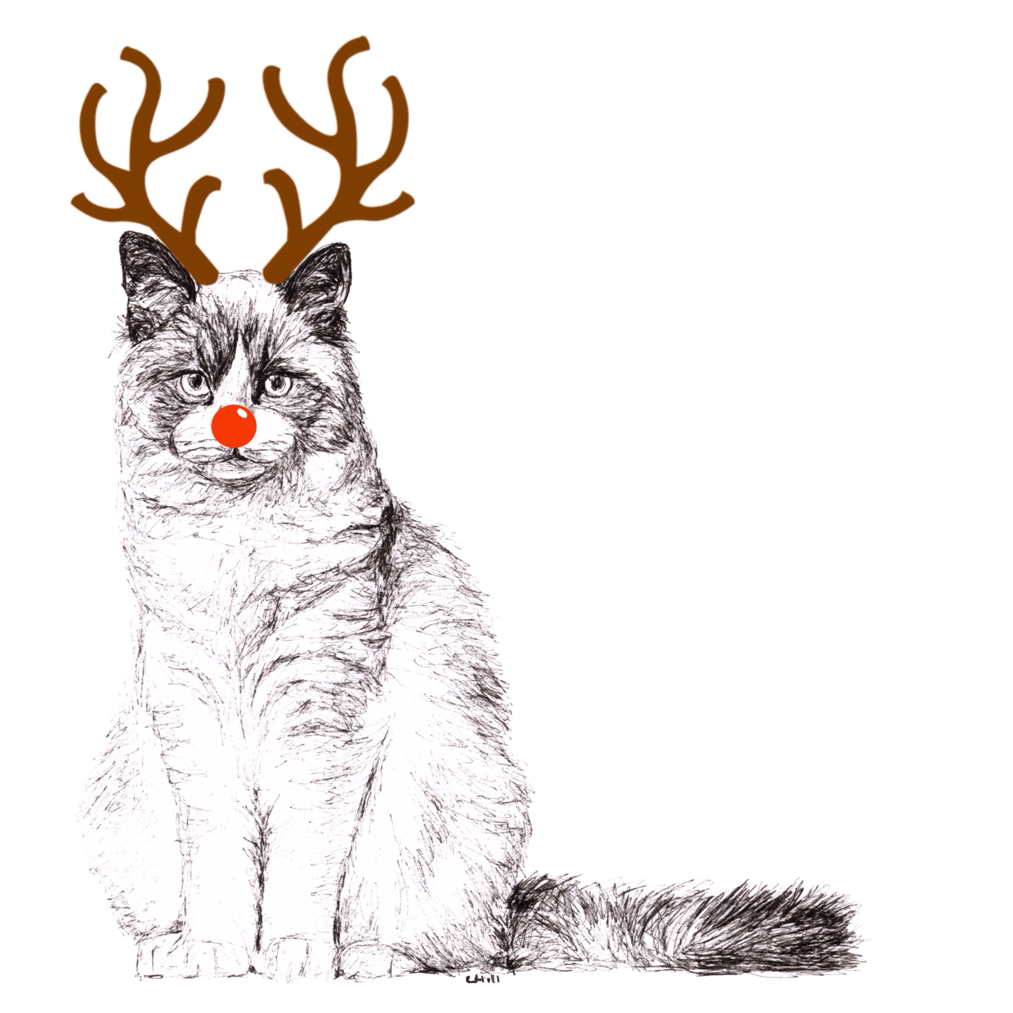 Ragdoll with reindeer antlers and red nose Christmas card by Louisa Hill