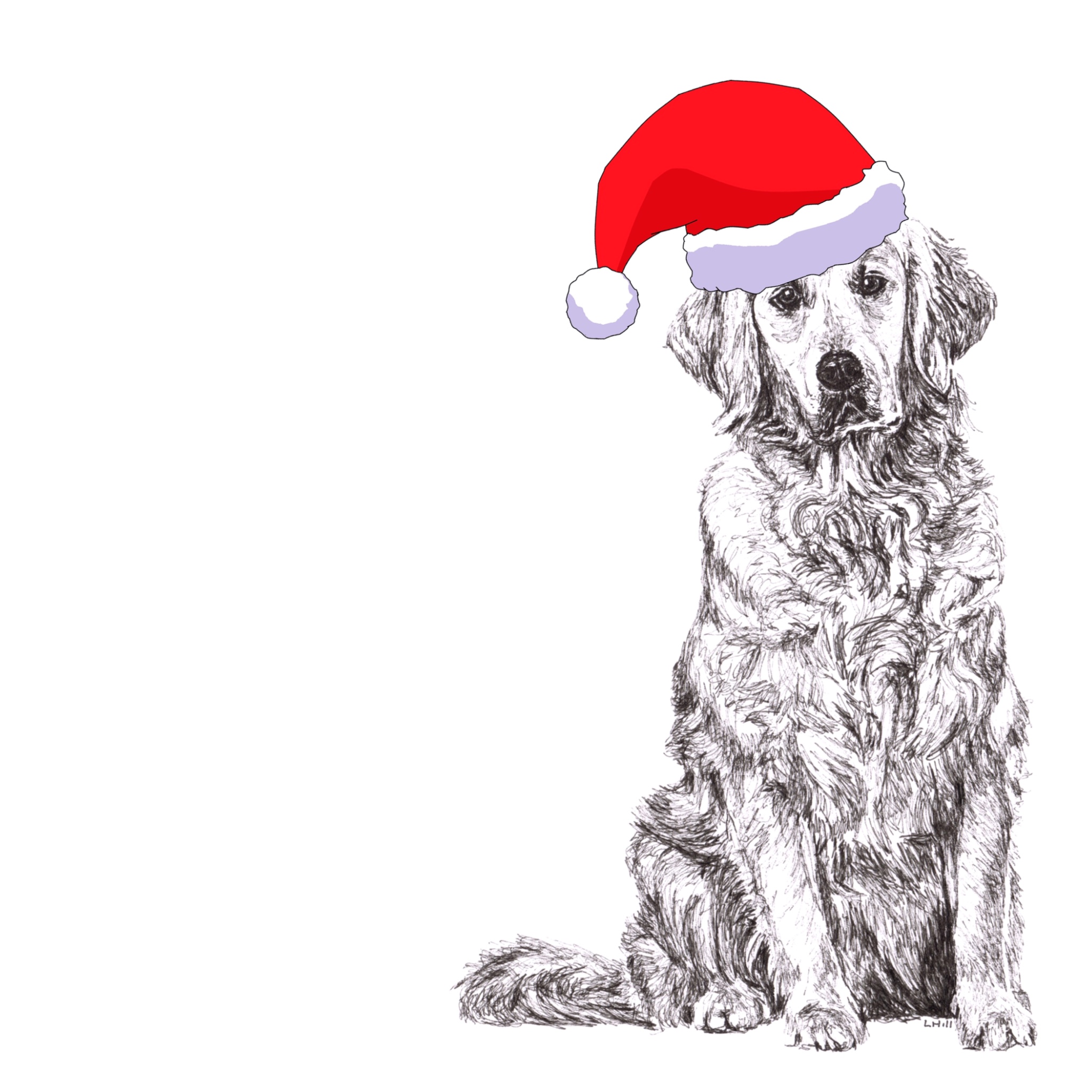 Golden Retriever with reindeer antlers and red nose Christmas card by Louisa Hill