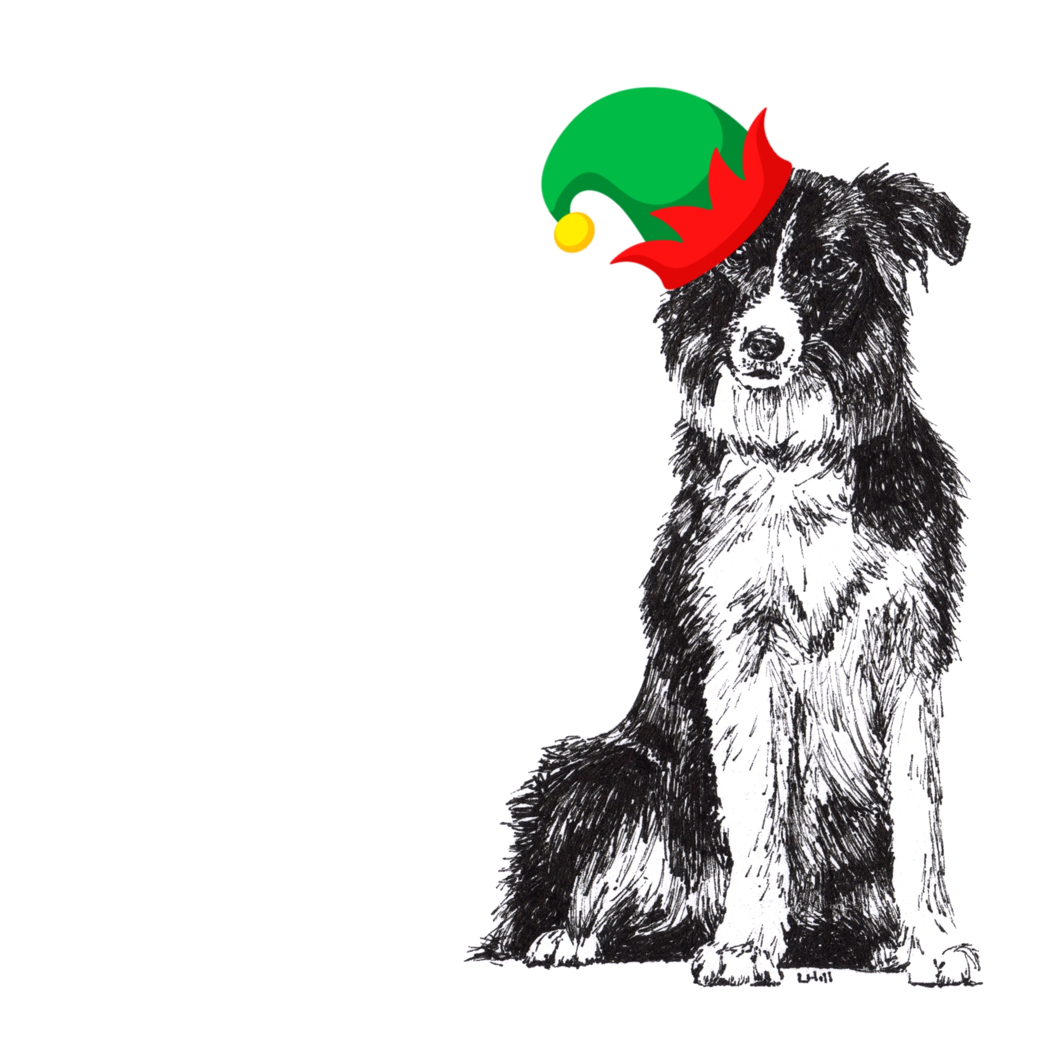 Border Collie with Santa hat Christmas card by Louisa Hill