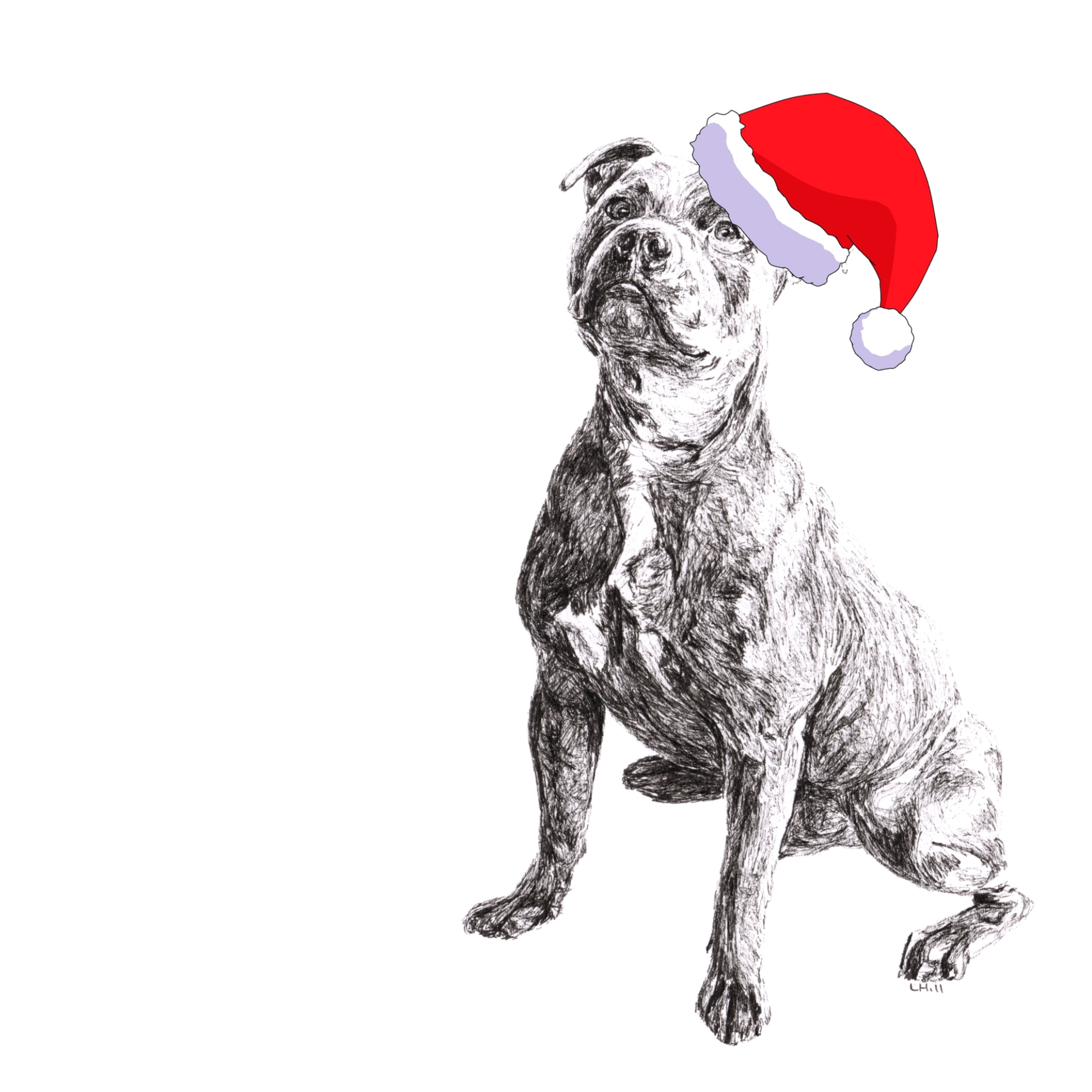 Staffordshire Bull Terrier with Santa hat Christmas card by Louisa Hill