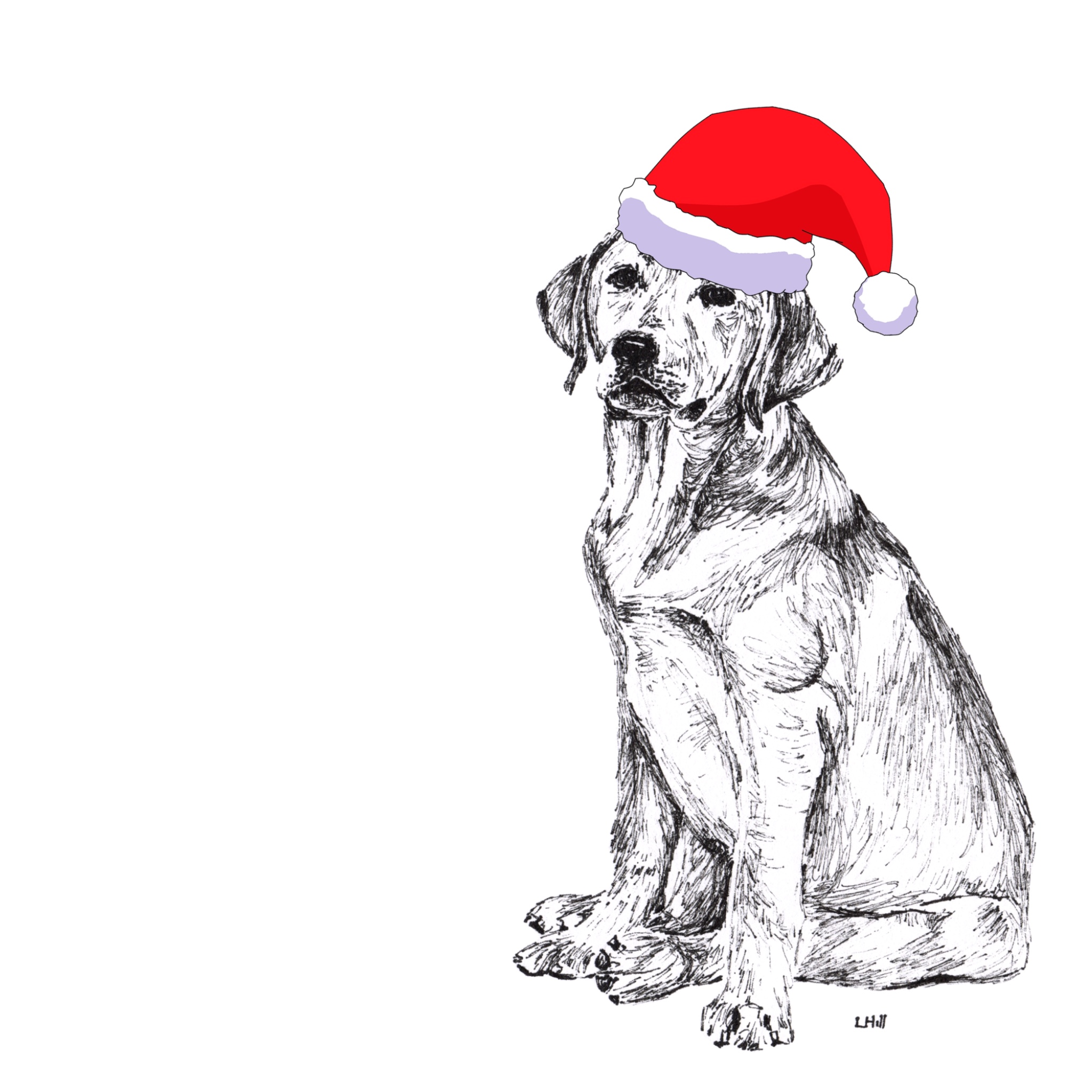 Labrador with reindeer antlers and red nose Christmas card by Louisa Hill