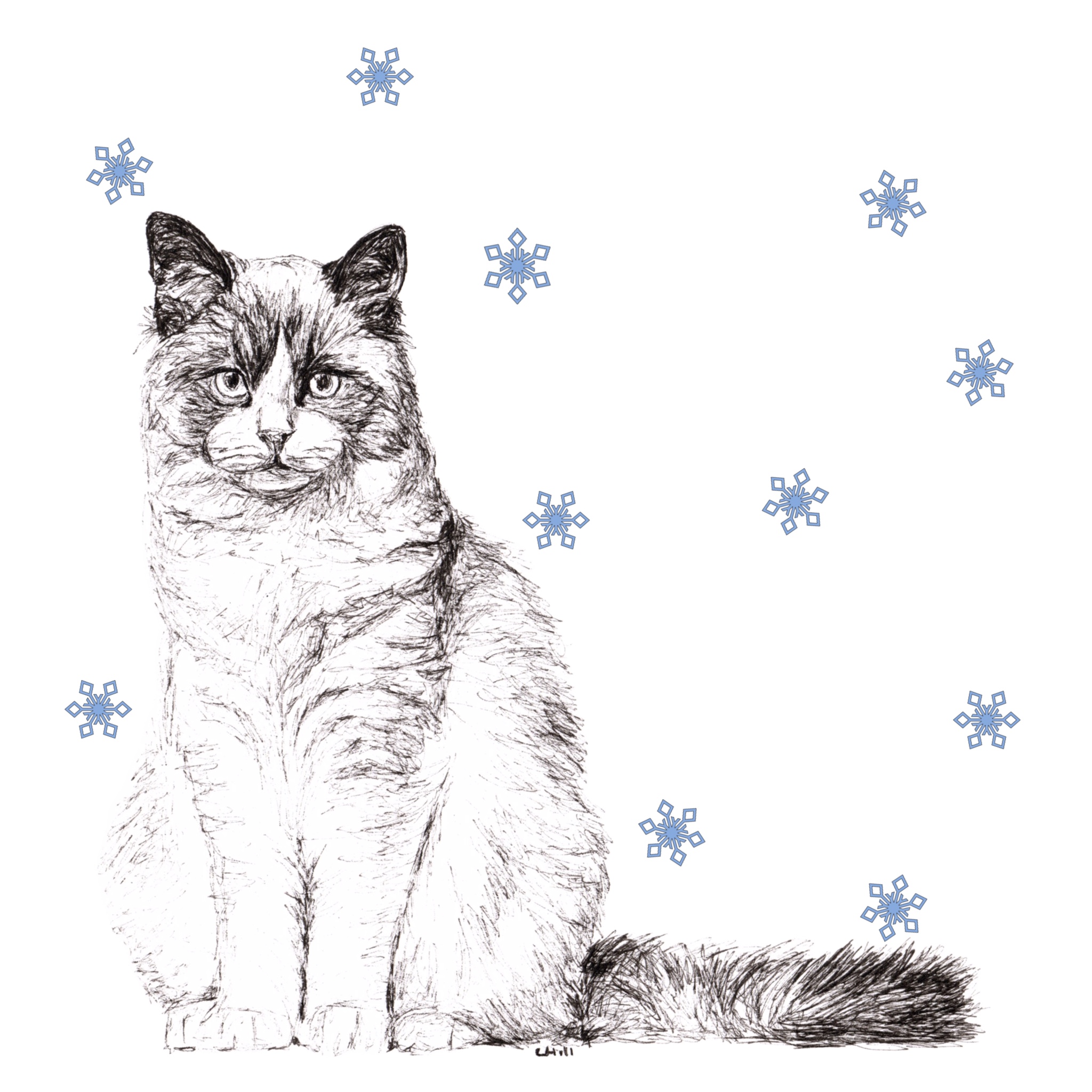 Ragdoll with reindeer antlers and red nose Christmas card by Louisa Hill