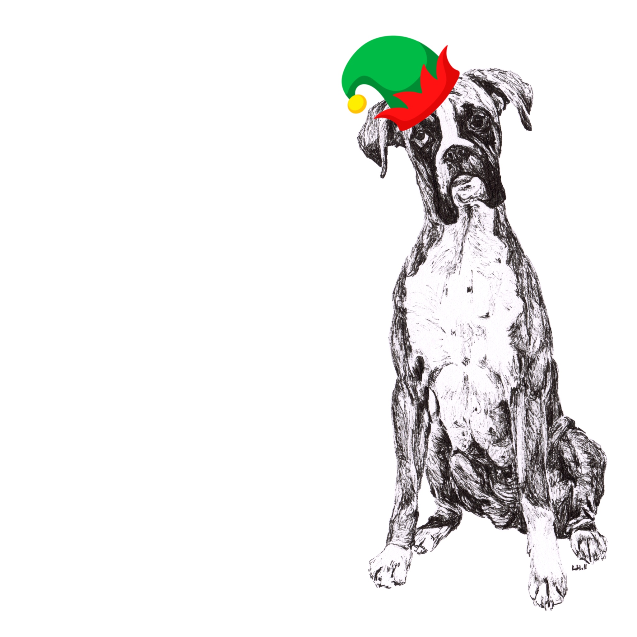 Boxer with Santa hat Christmas card by Louisa Hill