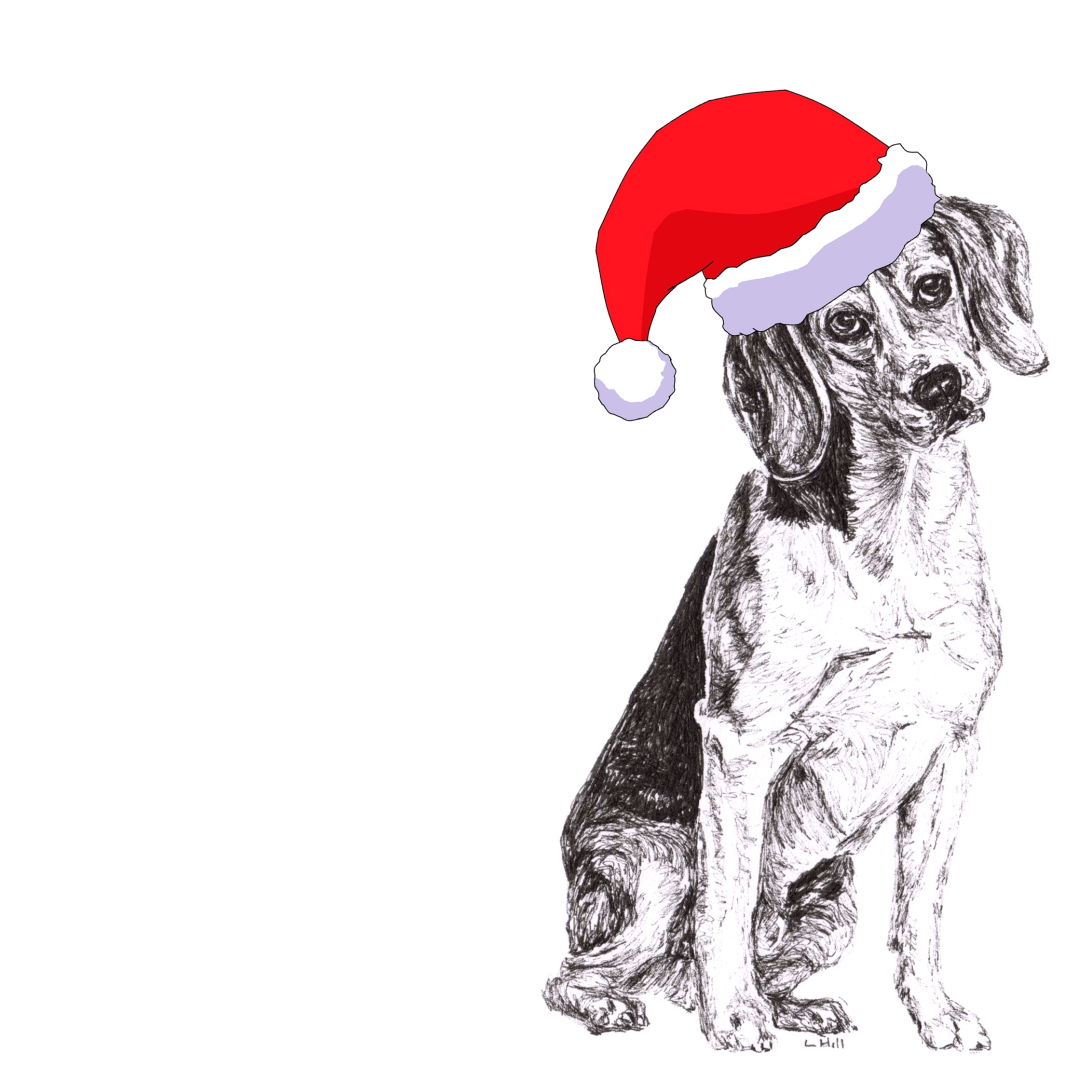 Beagle with Santa hat Christmas card by Louisa Hill