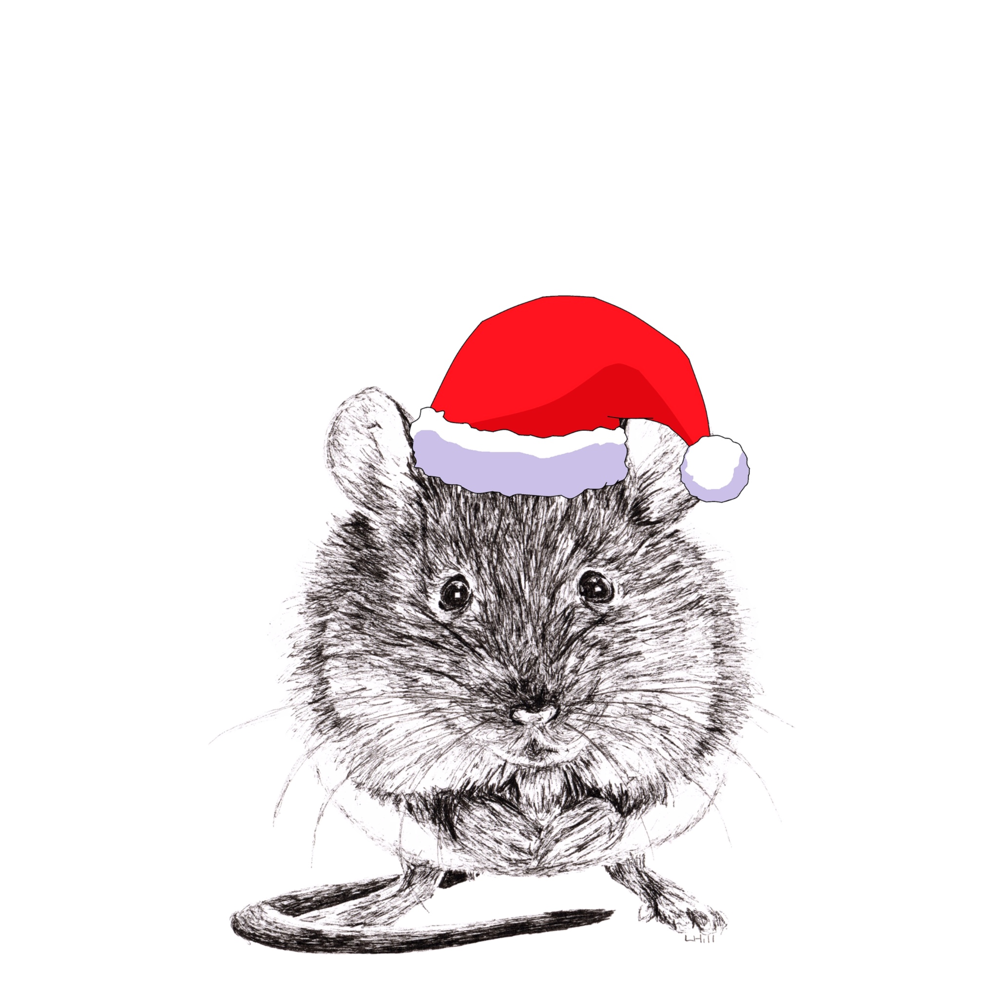 Mouse with santa hat Christmas card by Louisa Hill