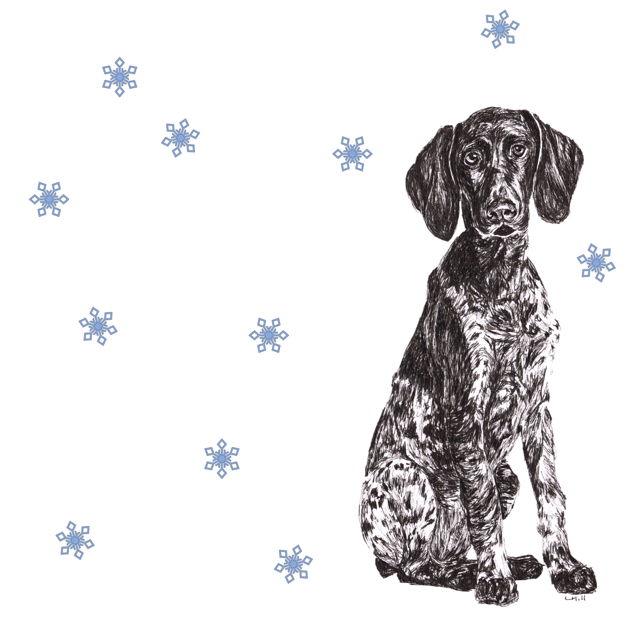 German Short Haired Pointer with reindeer antlers and red nose Christmas card by Louisa Hill