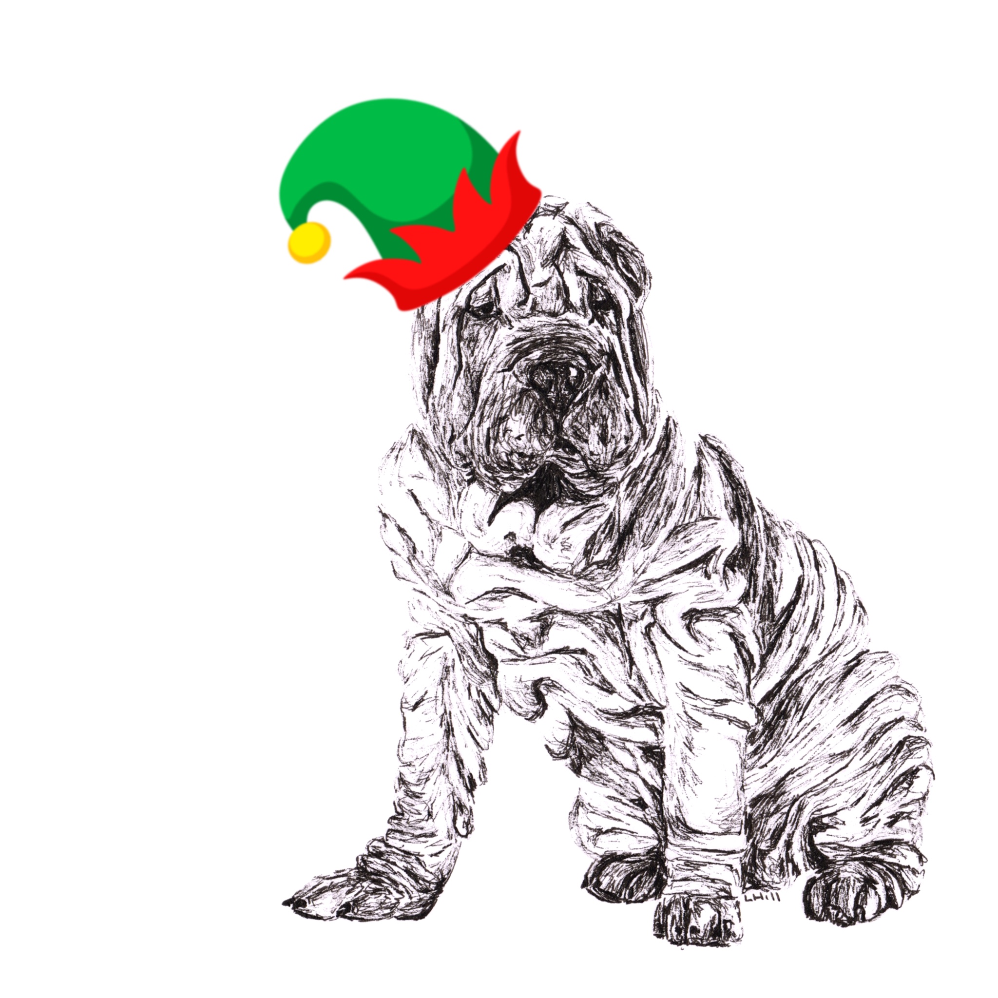 Shar Pei with Santa hat Christmas card by Louisa Hill