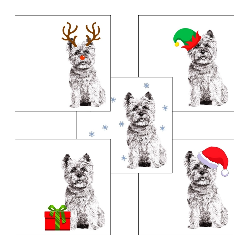 Cairn Terrier with Santa hat Christmas card by Louisa Hill