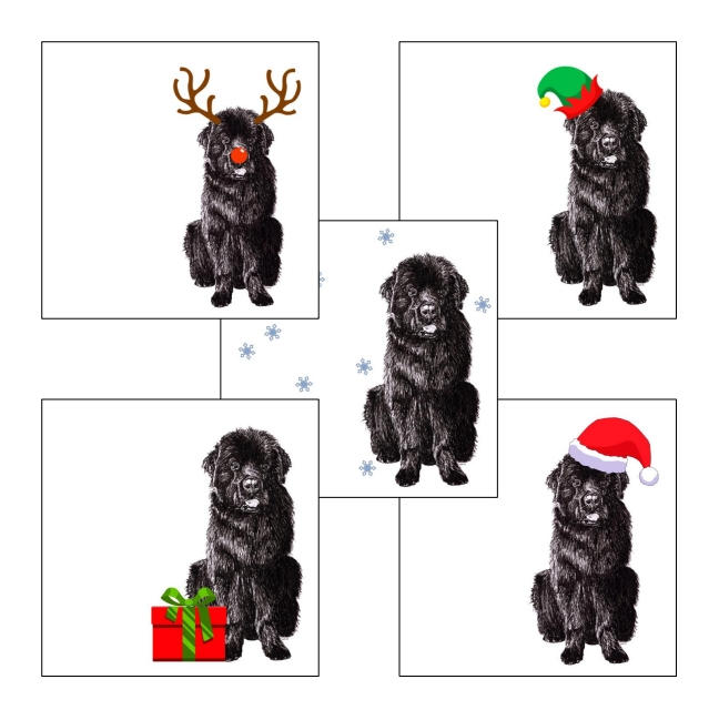 Newfoundland with reindeer antlers and red nose Christmas card by Louisa Hill