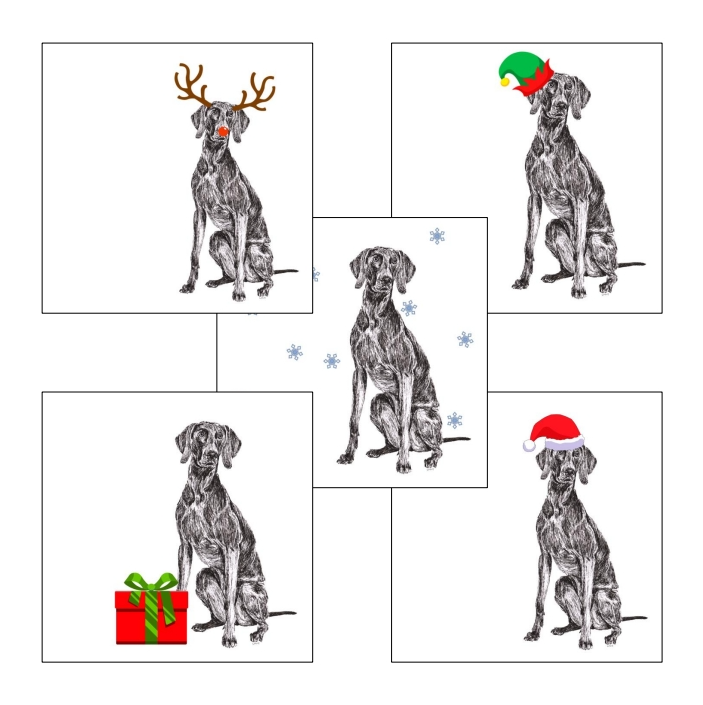 Weimaraner with Santa hat Christmas card by Louisa Hill