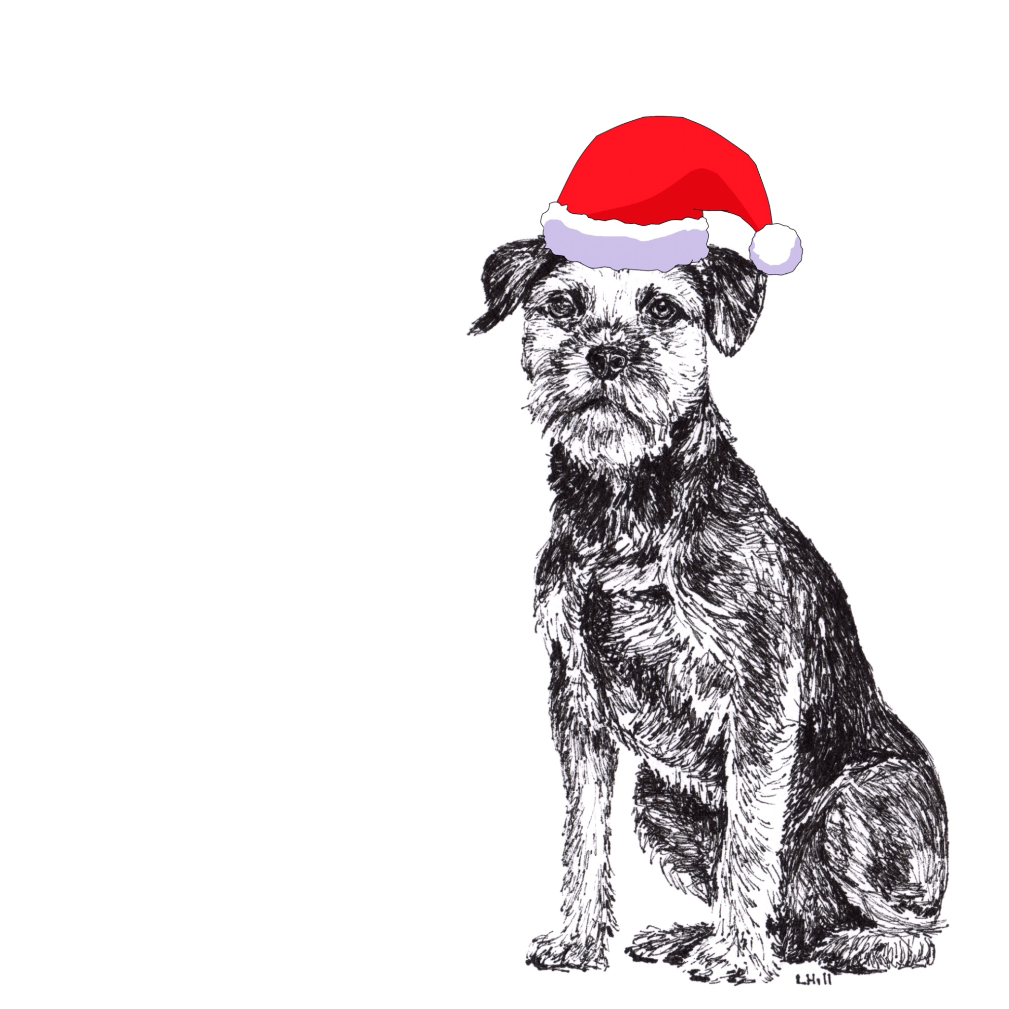 Border Terrier with Santa hat Christmas card by Louisa Hill